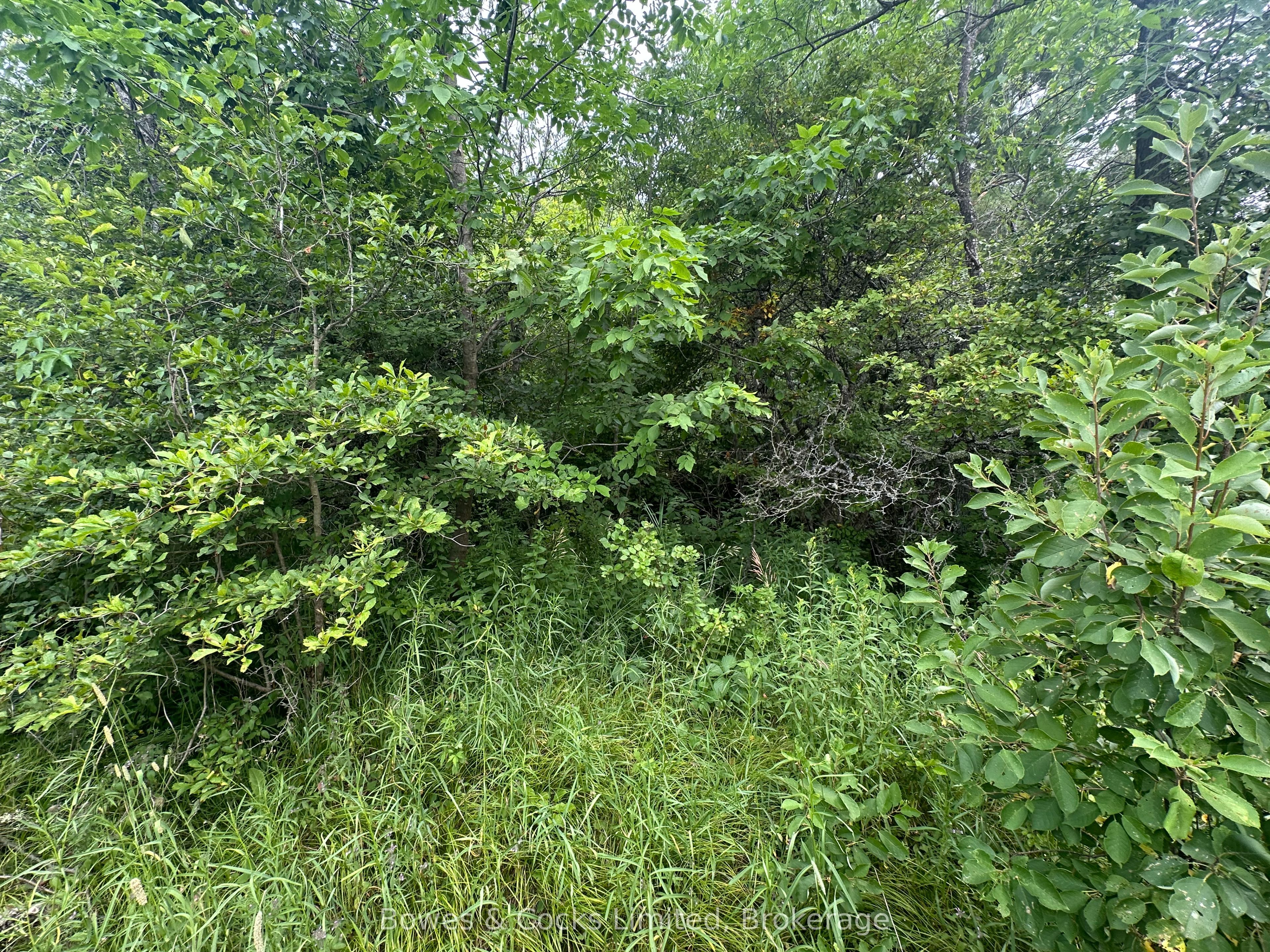 0 Centre Line Road Property Photo 12