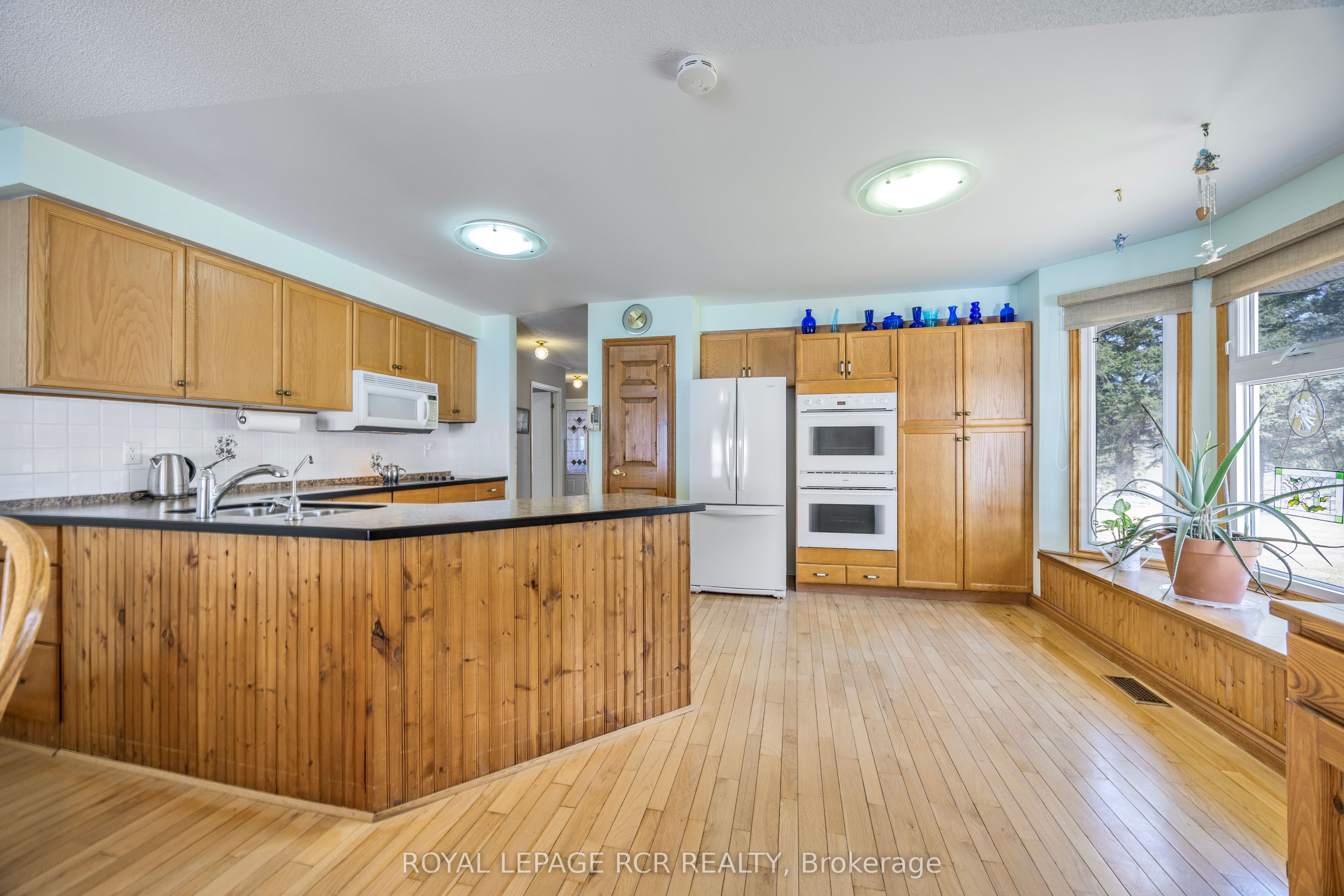 3 Henry Street Property Photo 16