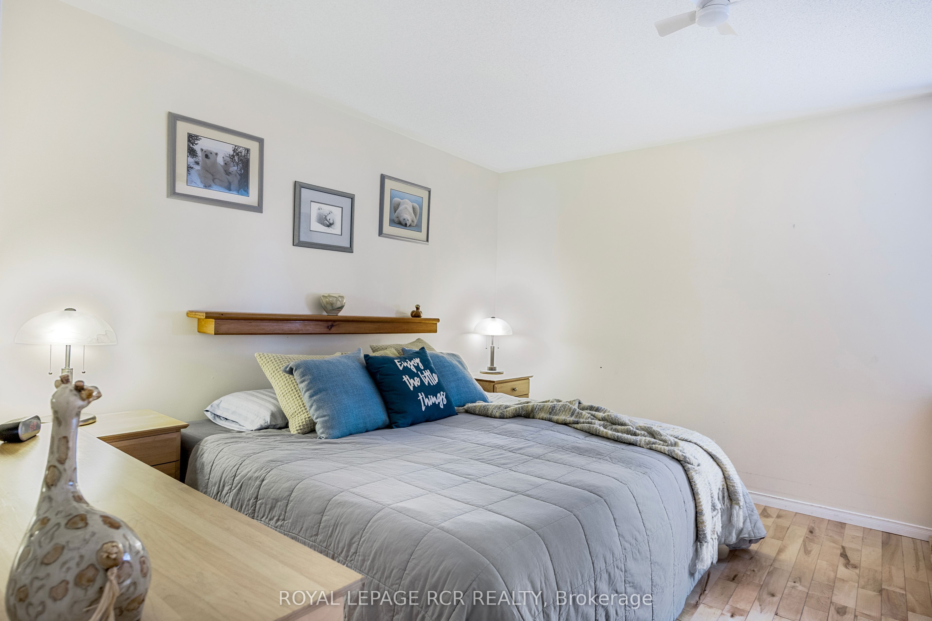 3 Henry Street Property Photo 26