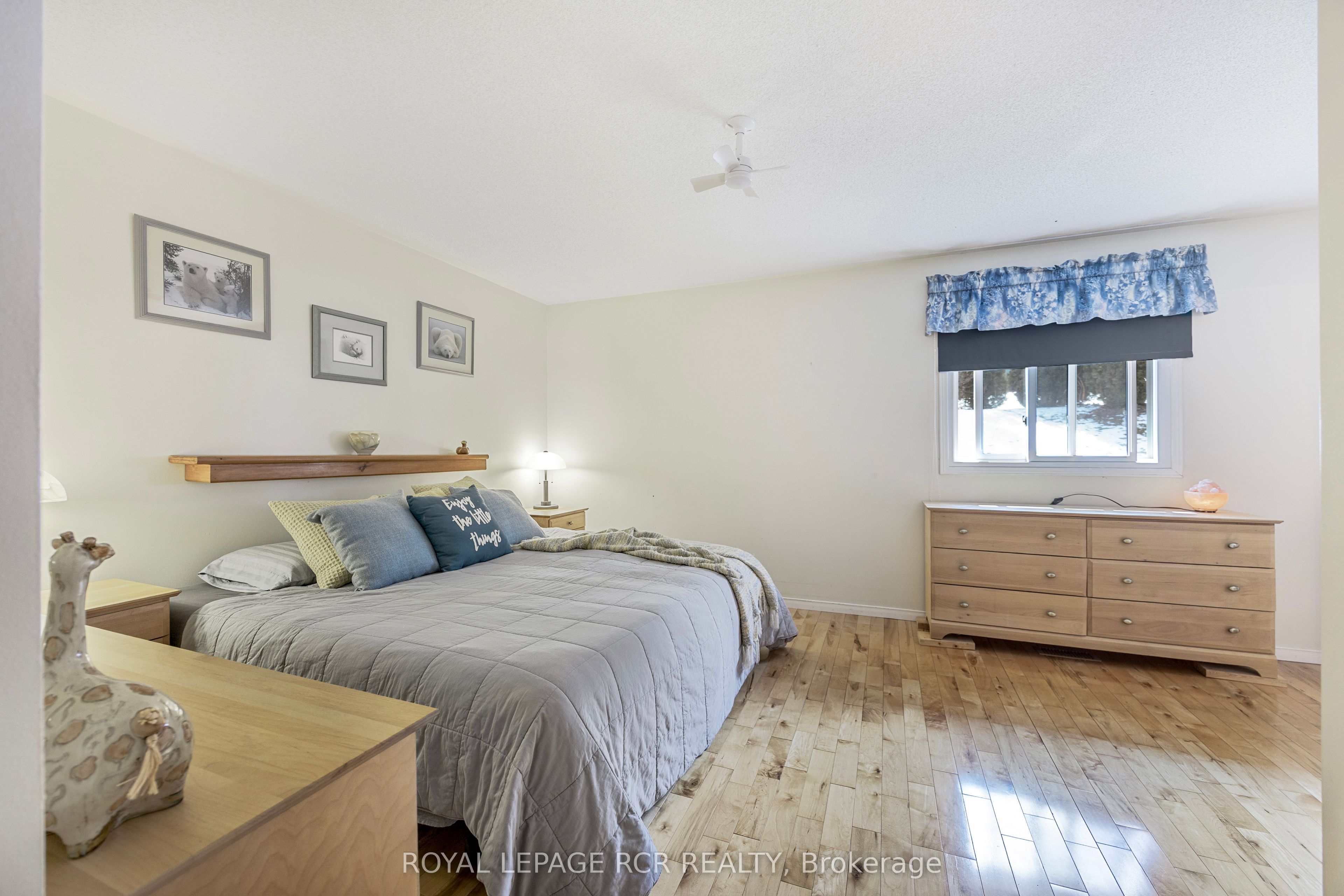 3 Henry Street Property Photo 27