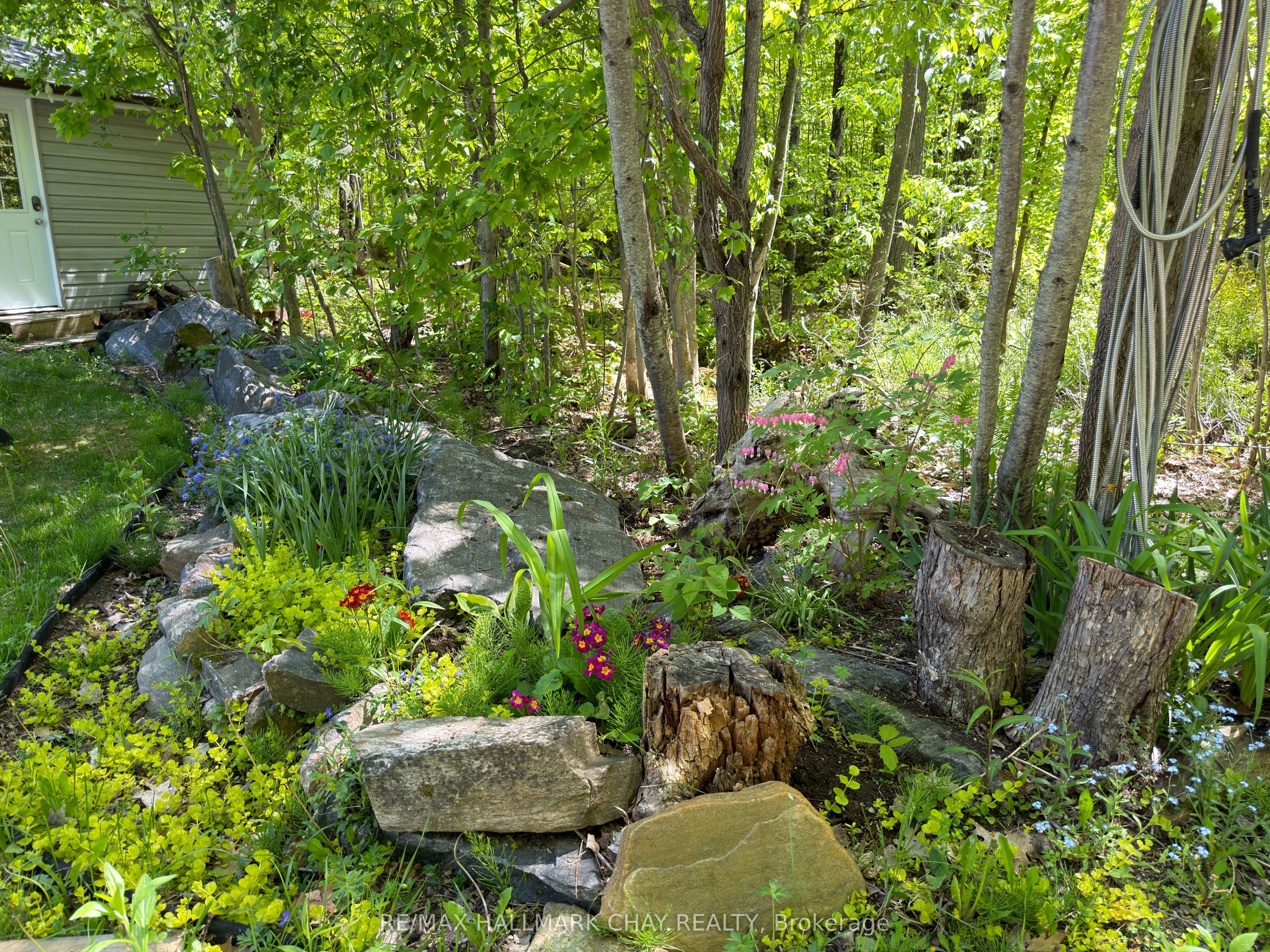 137 Pickerel Point Road Property Photo 40