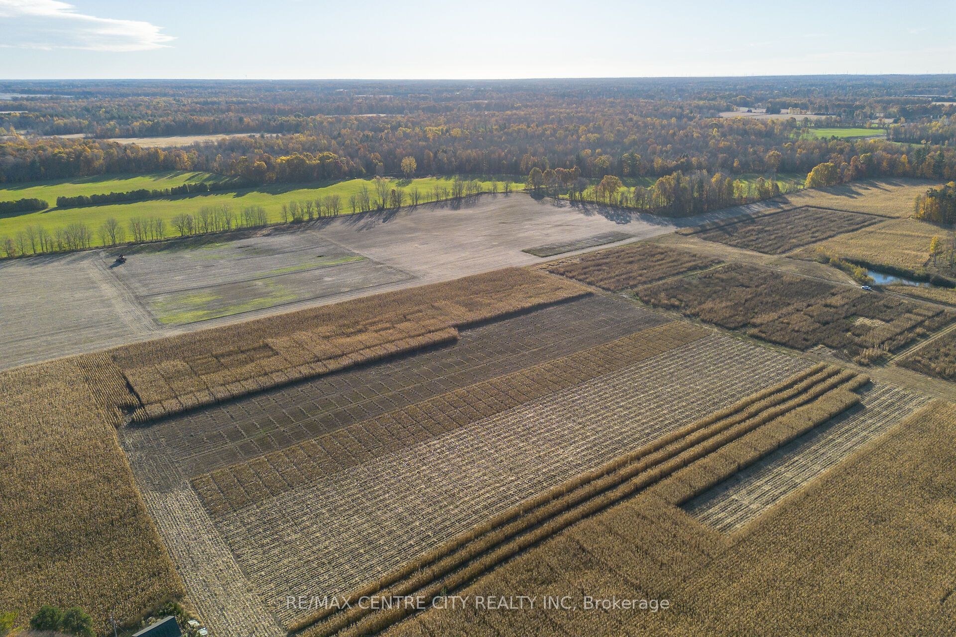 8916 Coyle Road Property Photo 8