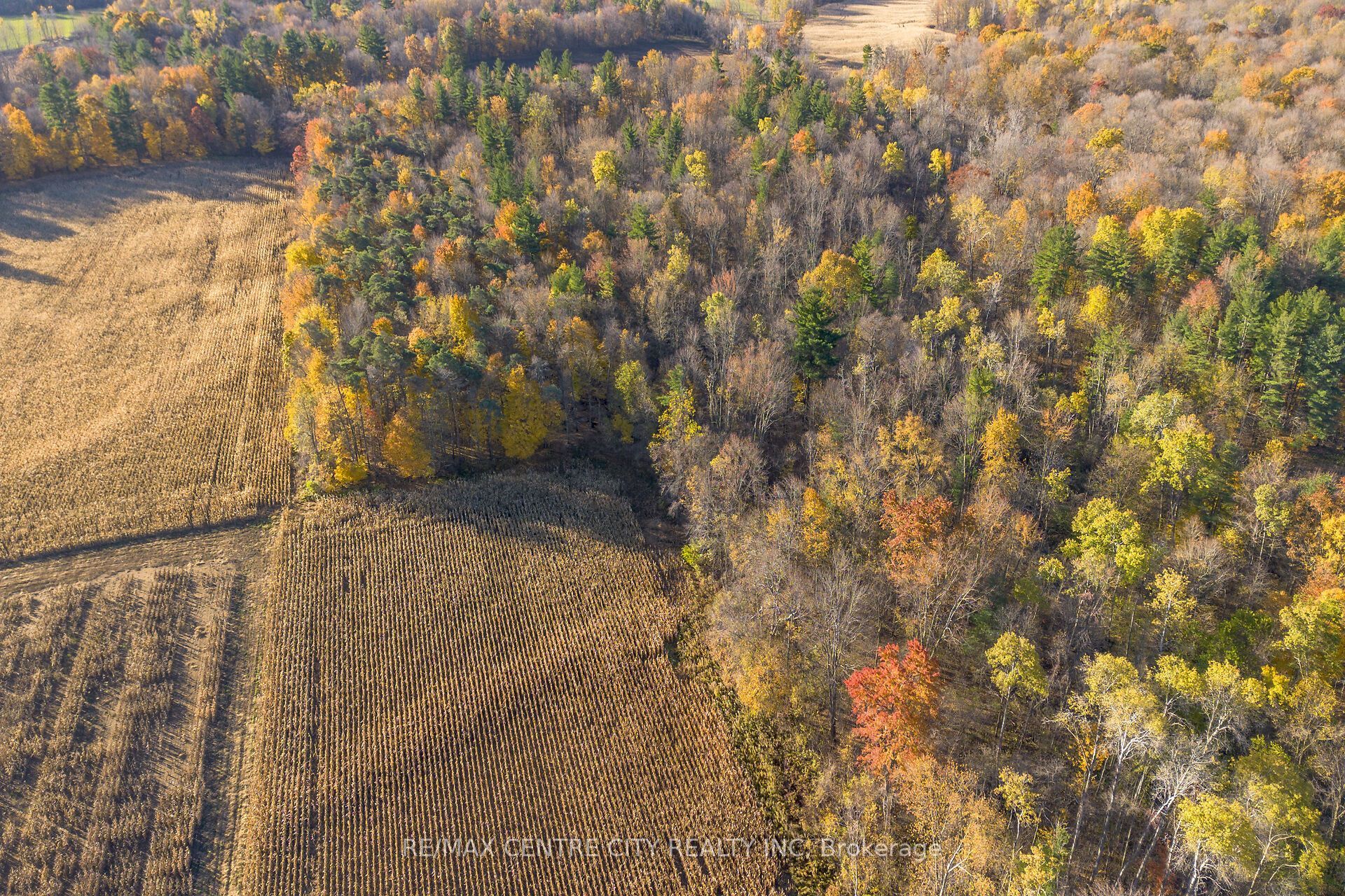 8916 Coyle Road Property Photo 12
