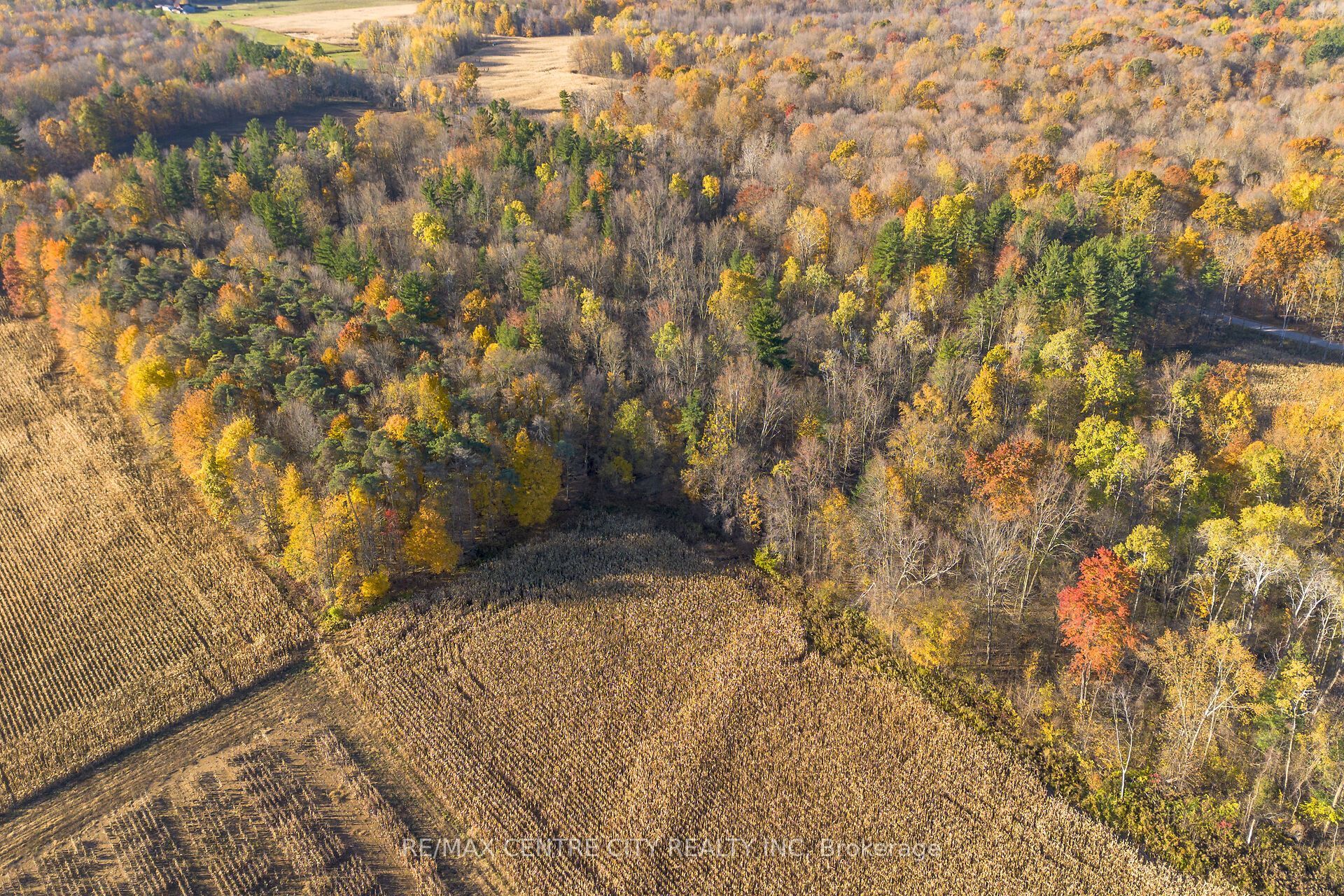 8916 Coyle Road Property Photo 13