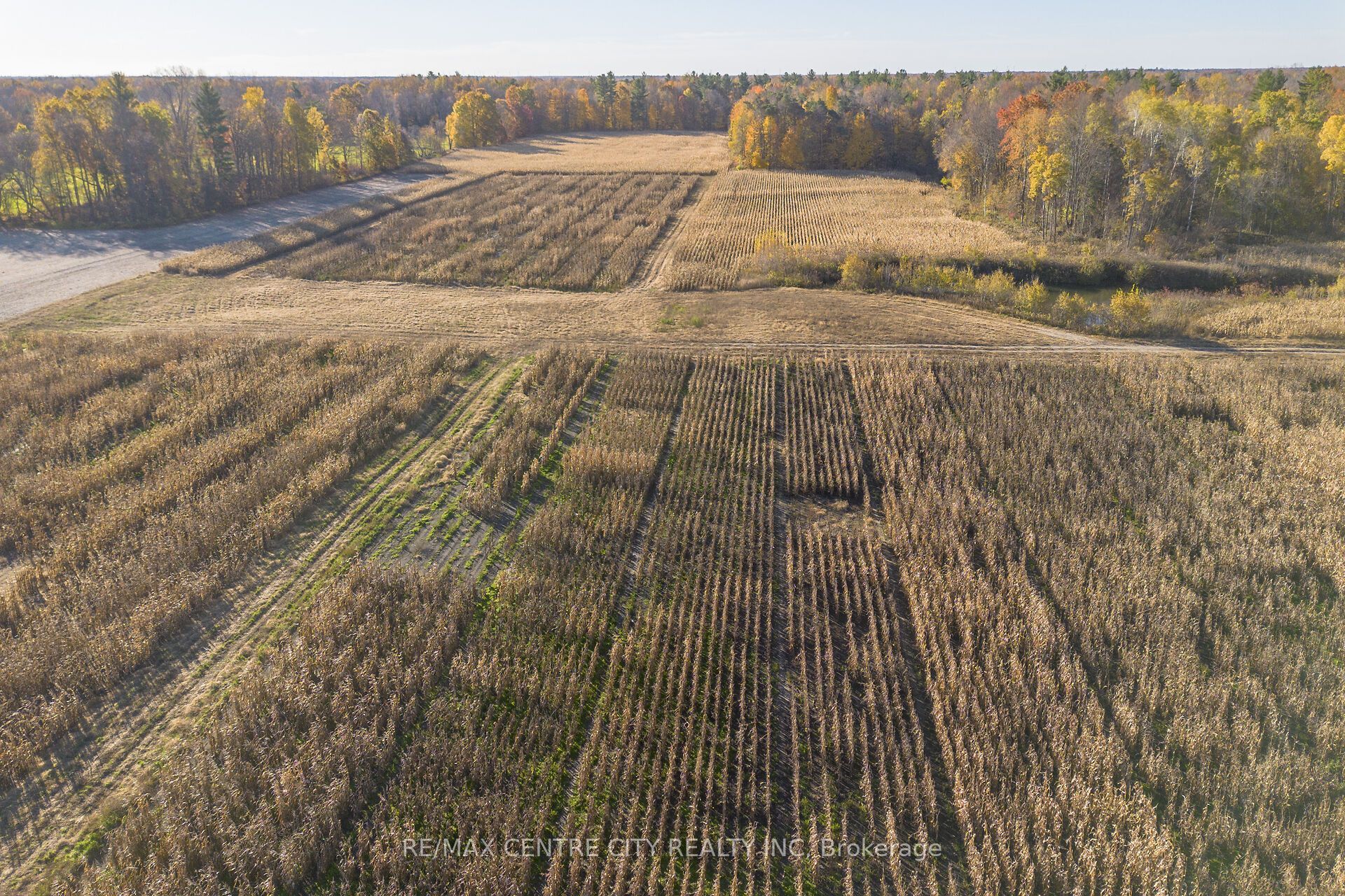 8916 Coyle Road Property Photo 23