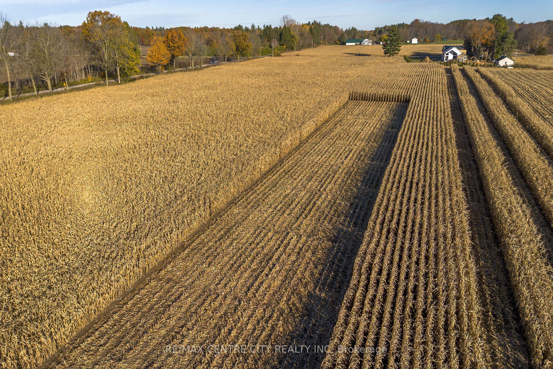 8916 Coyle Road Property Photo 26