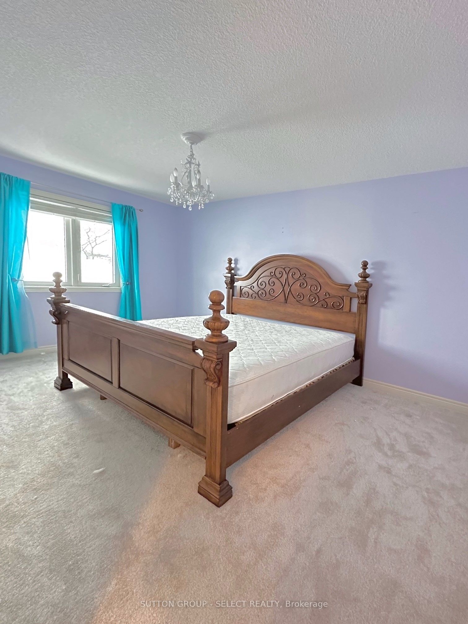 407 Kingbird Court Property Photo 19
