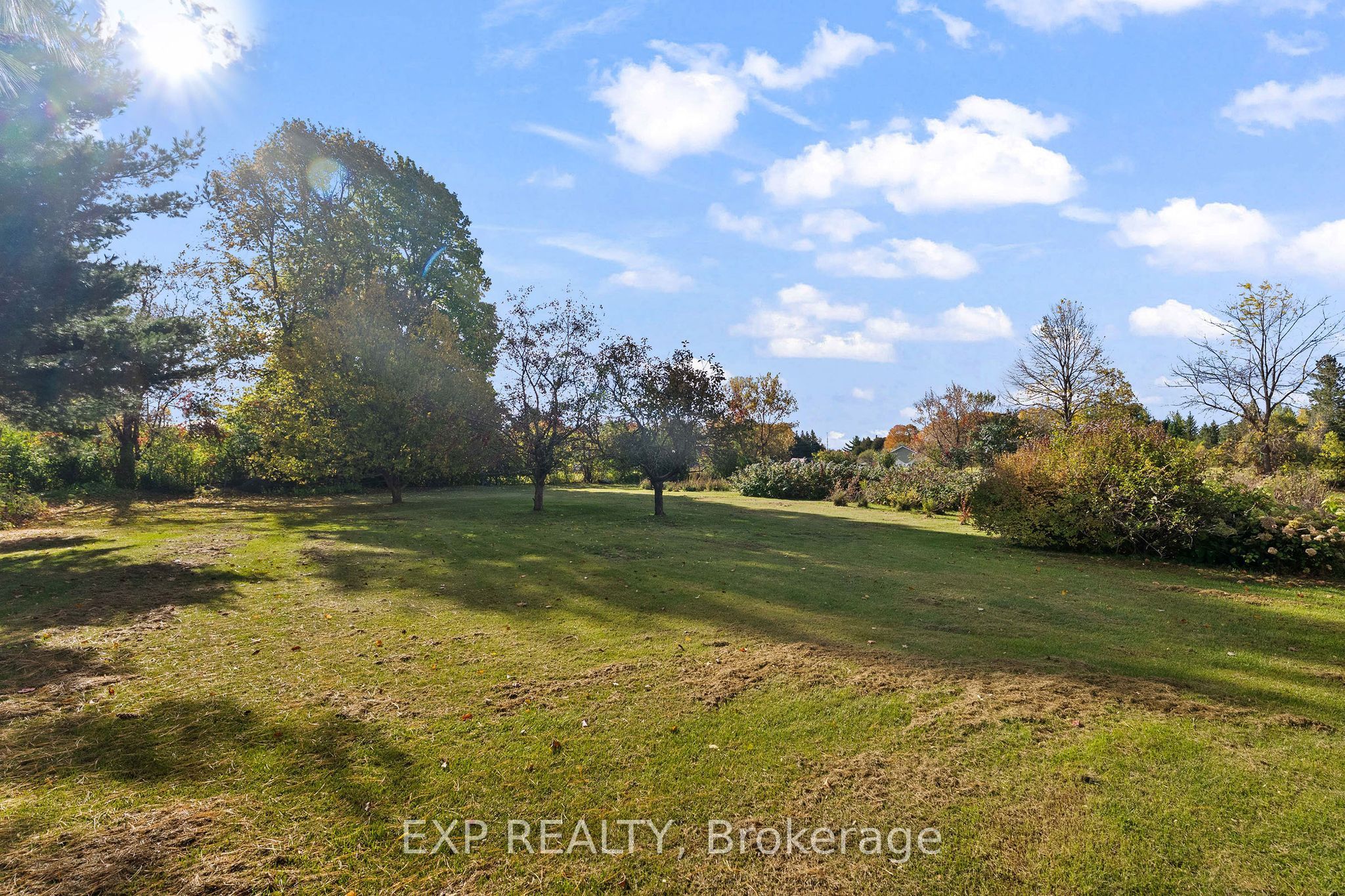 156 Margaret Street Property Photo 42