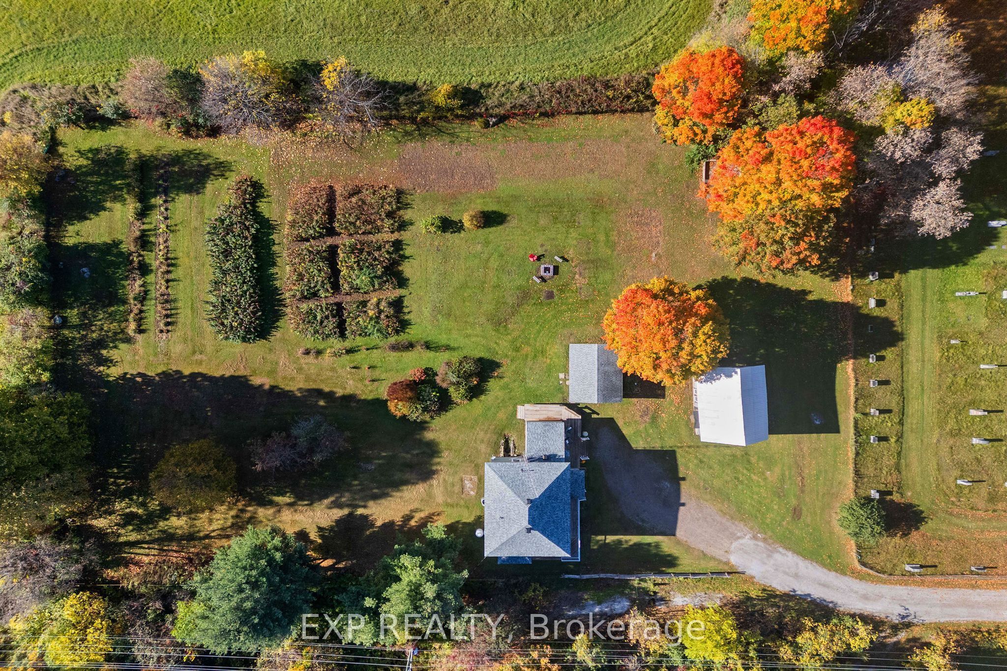 156 Margaret Street Property Photo 43