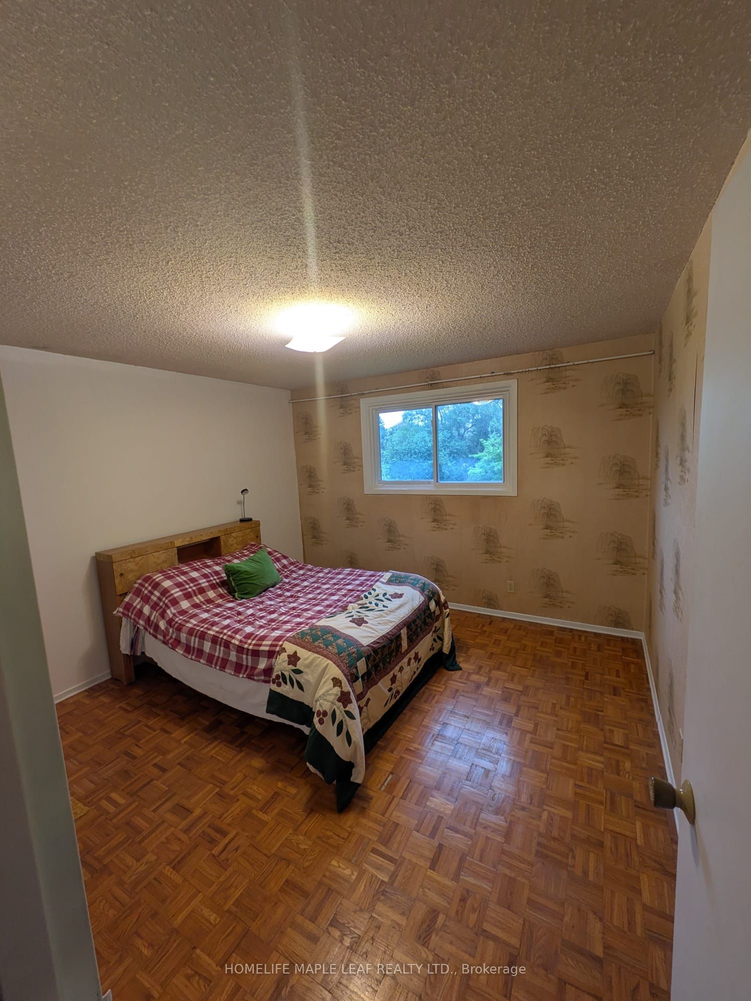 67 Rand Street Property Photo 15
