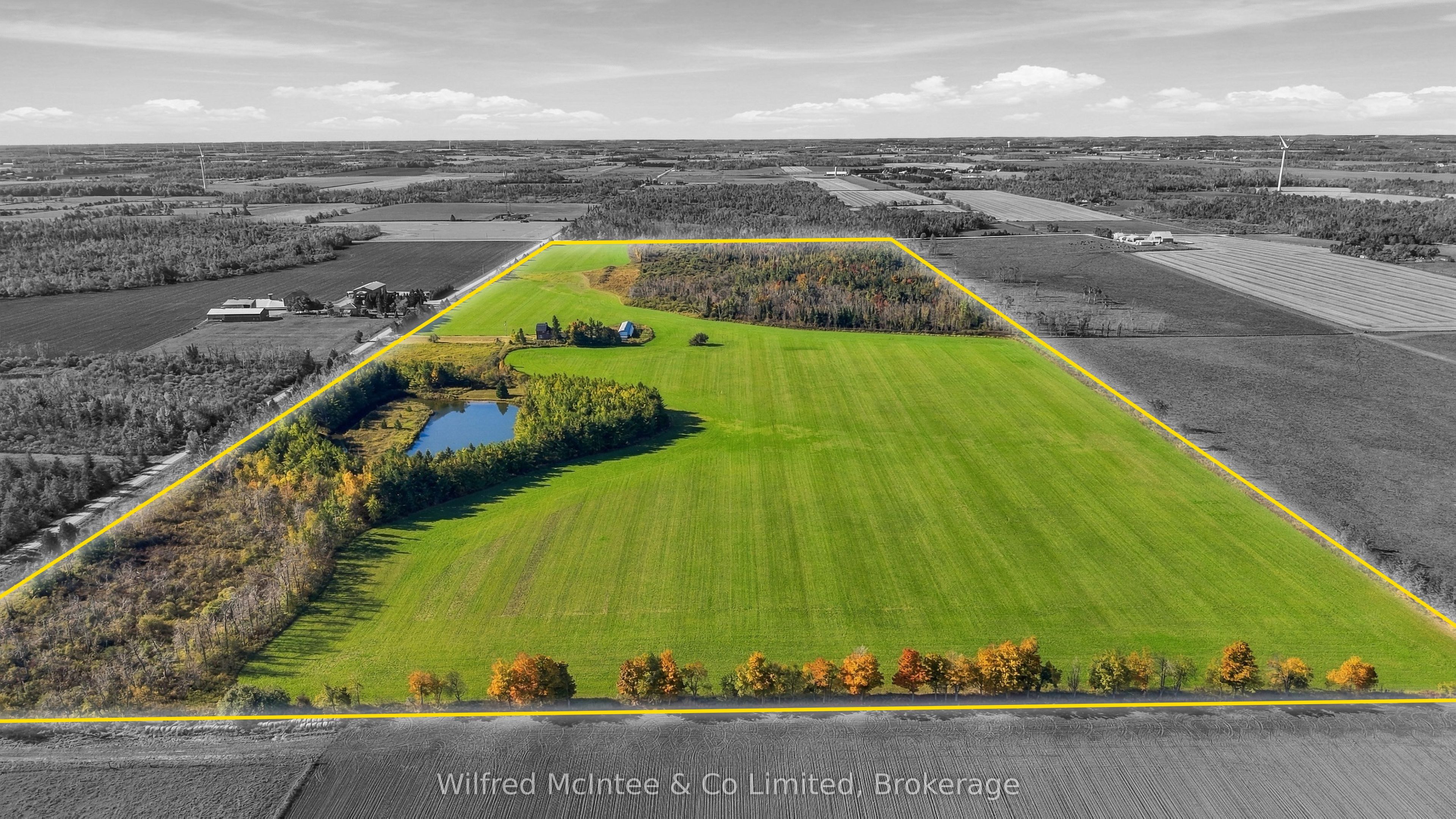 764059 240 Side Road Property Photo 1