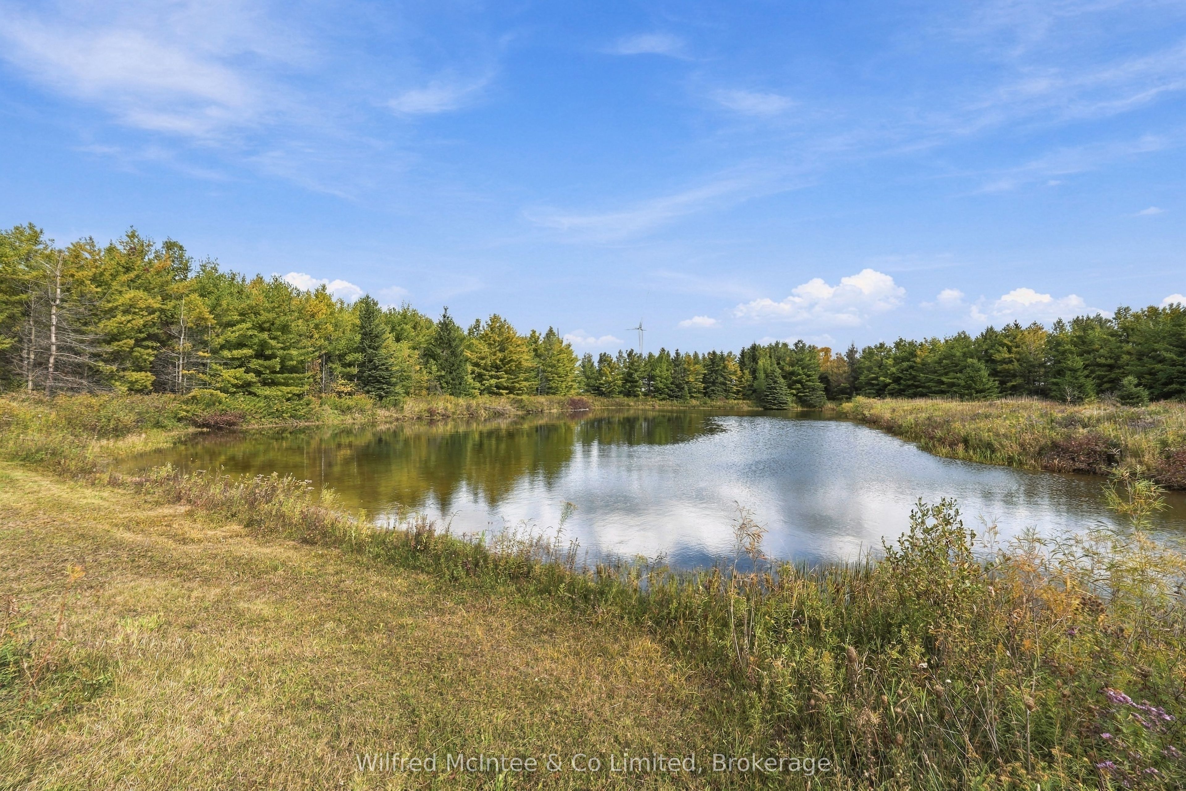 764059 240 Side Road Property Photo 37