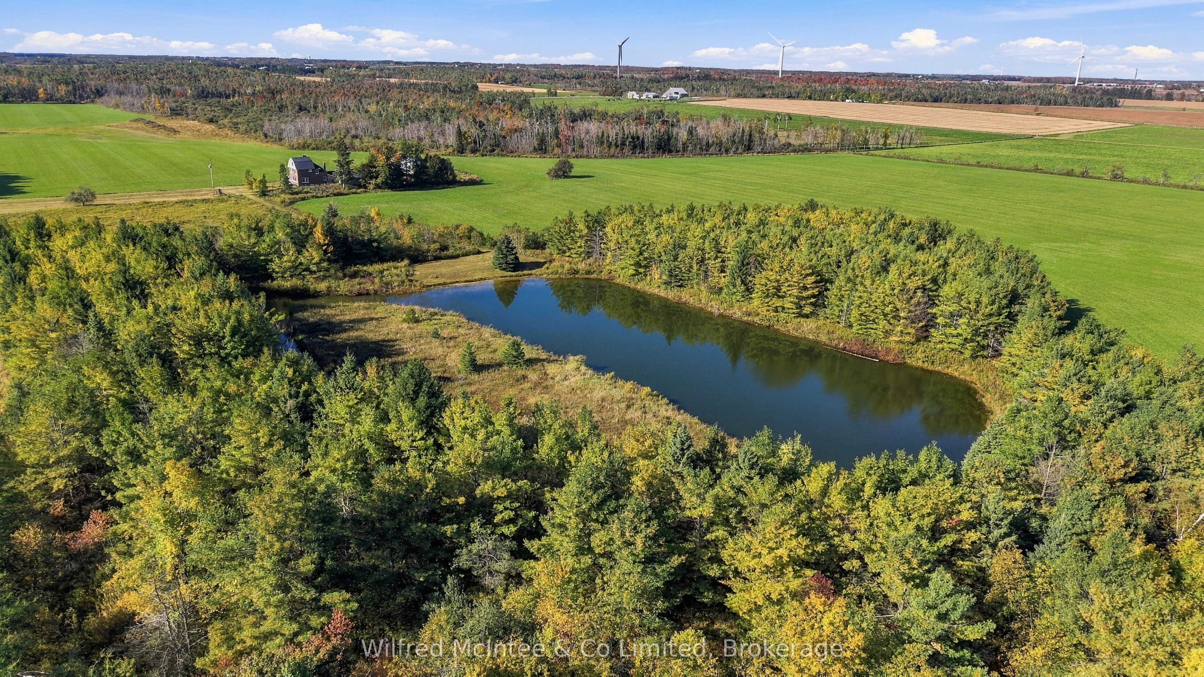 764059 240 Side Road Property Photo 38