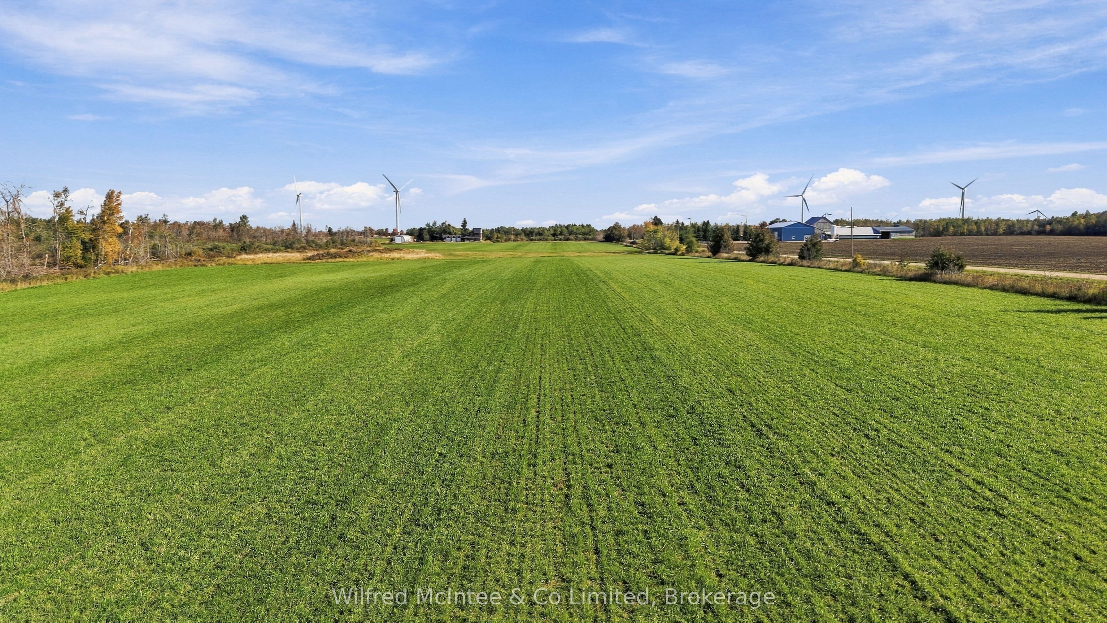764059 240 Side Road Property Photo 39