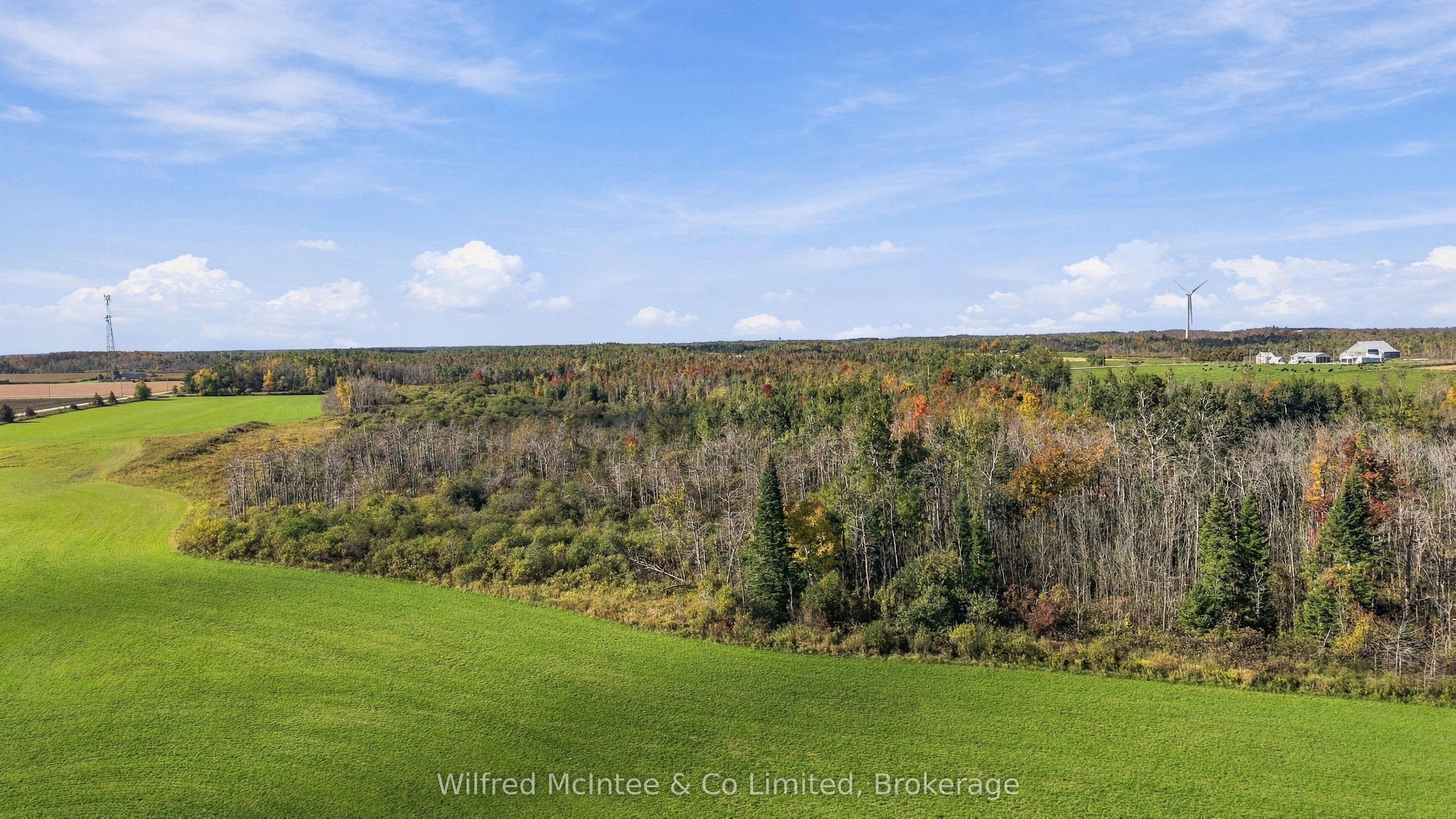 764059 240 Side Road Property Photo 40