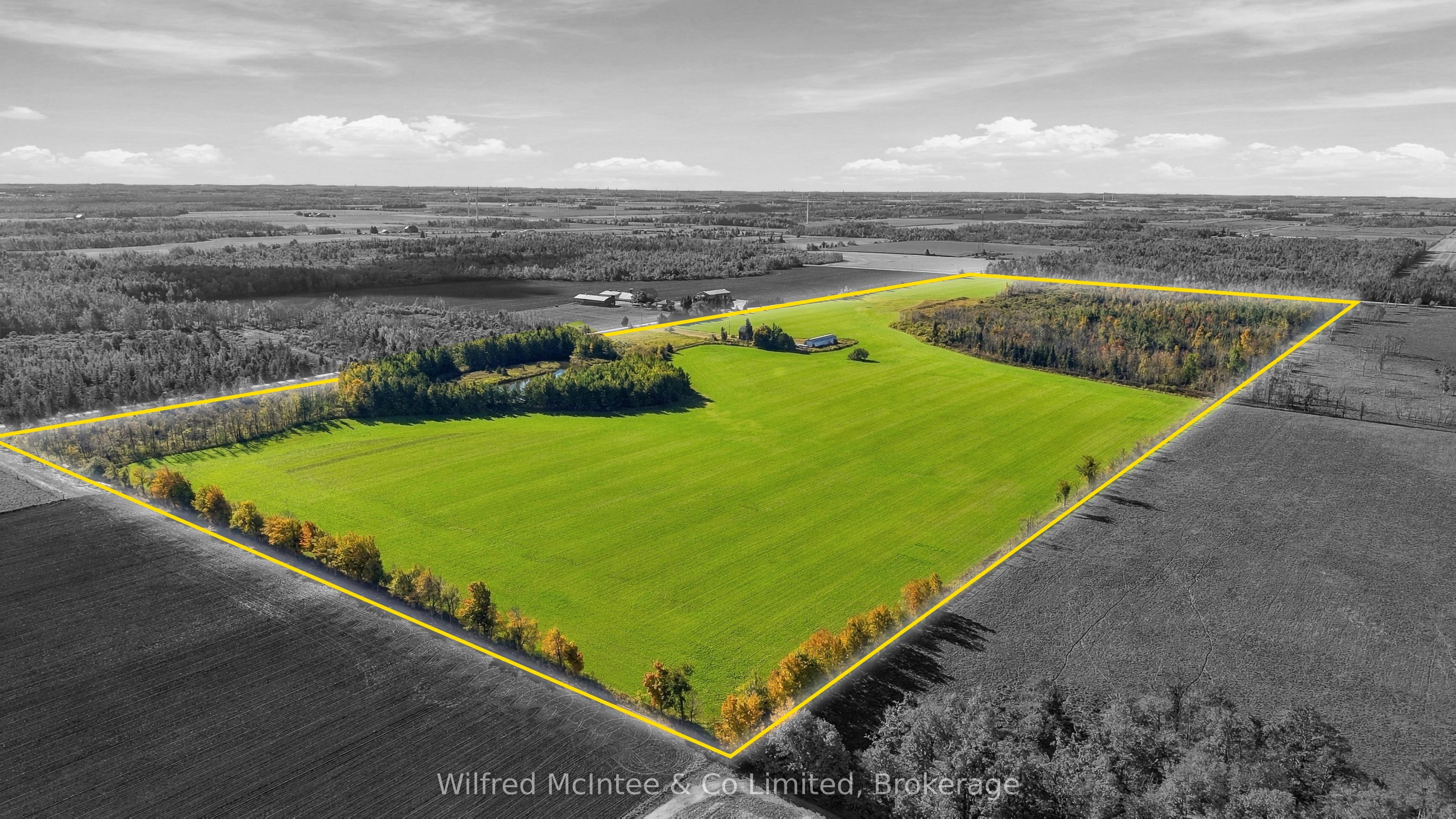 764059 240 Side Road Property Photo 41
