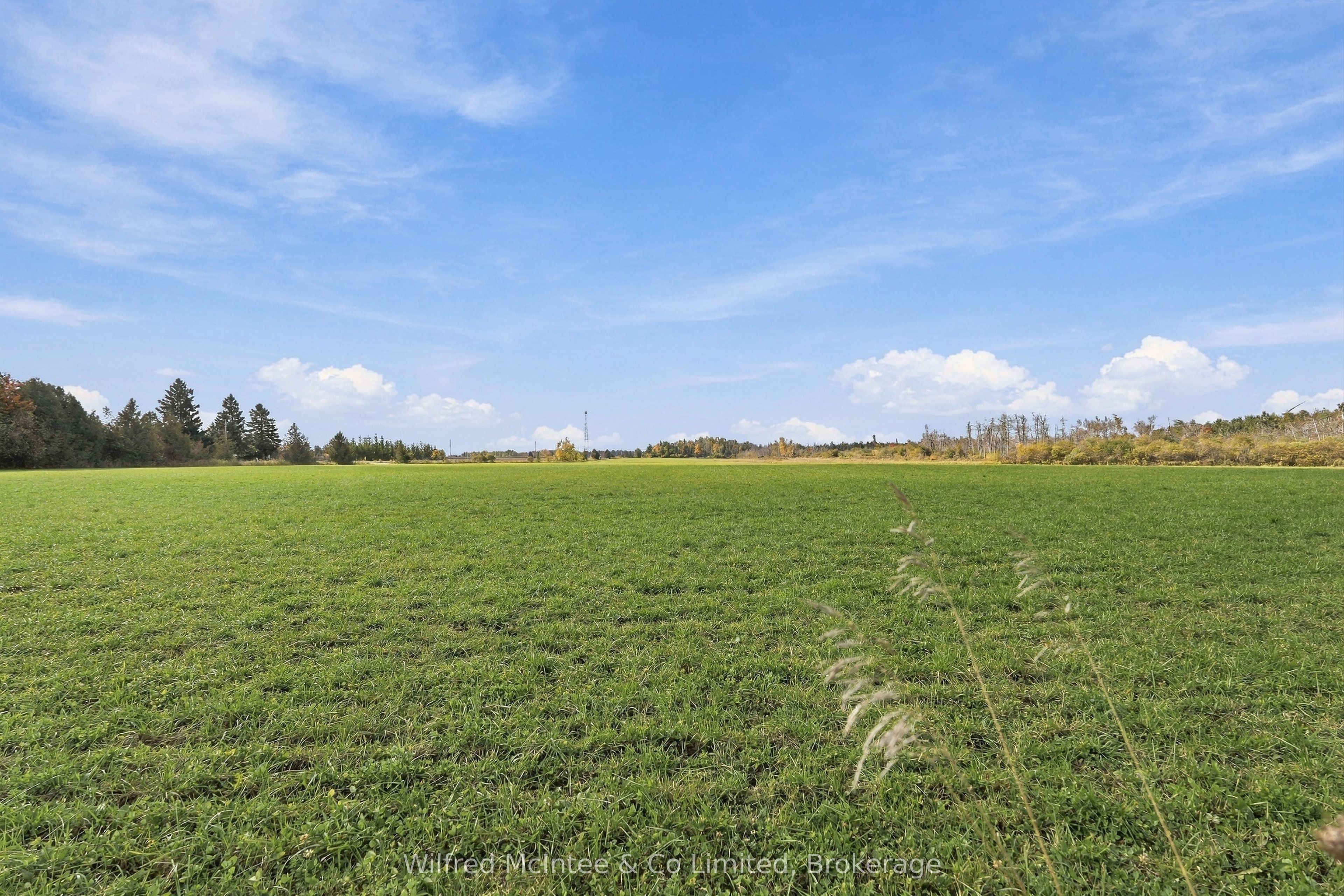 764059 240 Side Road Property Photo 43