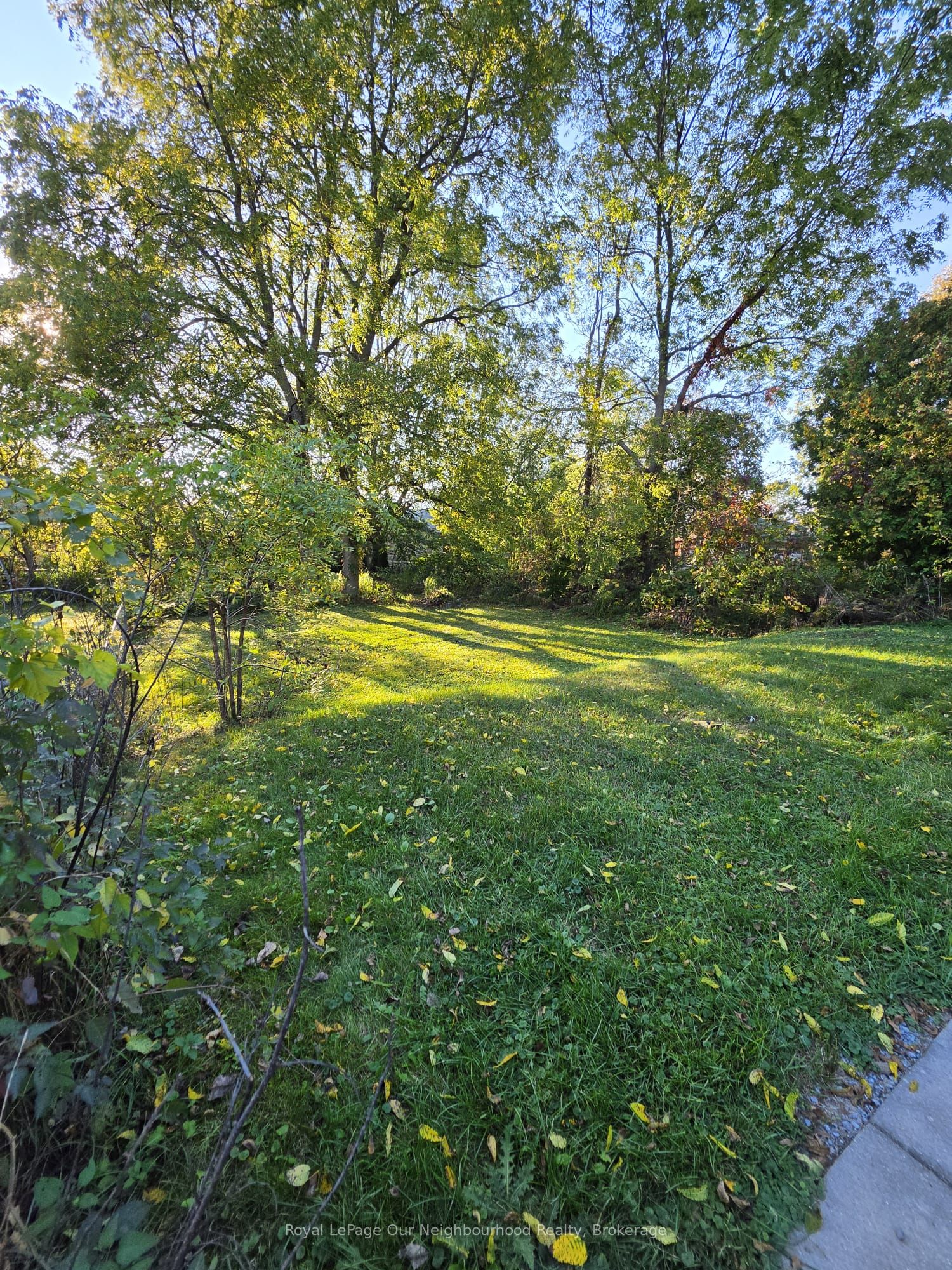 44 Elgin Street N Property Photo 23