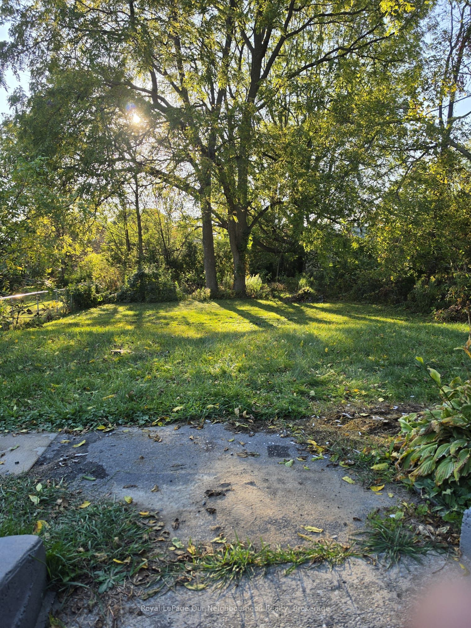 44 Elgin Street N Property Photo 24