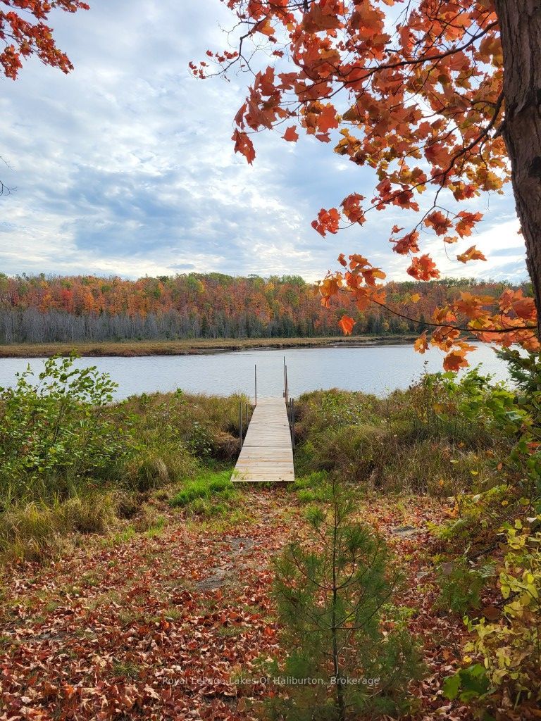 9842 Highway 35 Property Photo 1