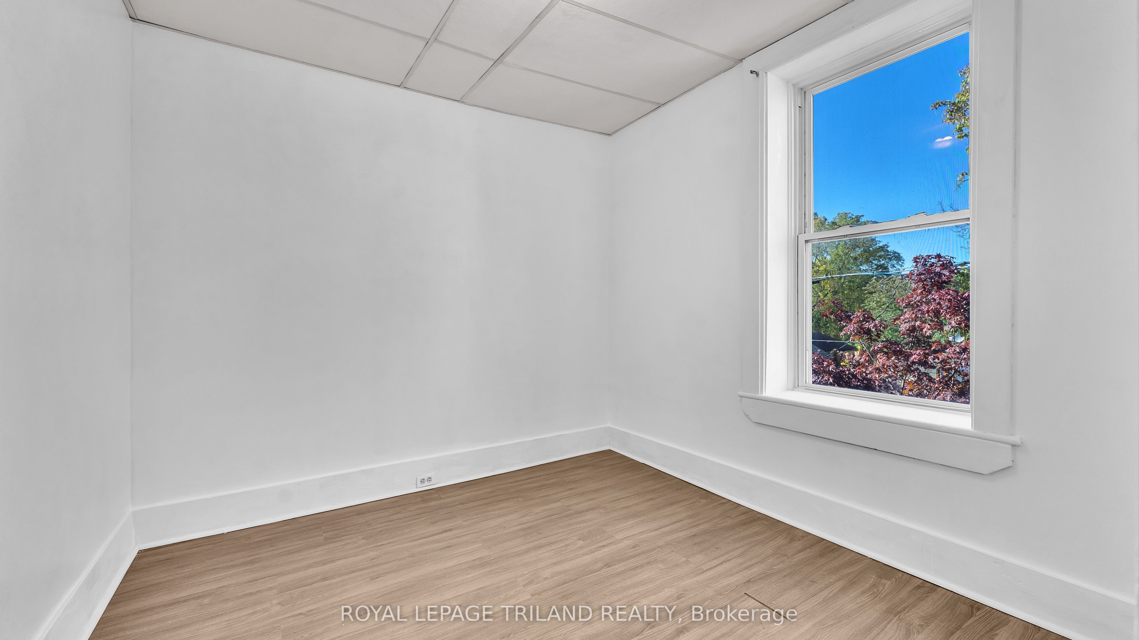 541 Nelson Street Property Photo 15