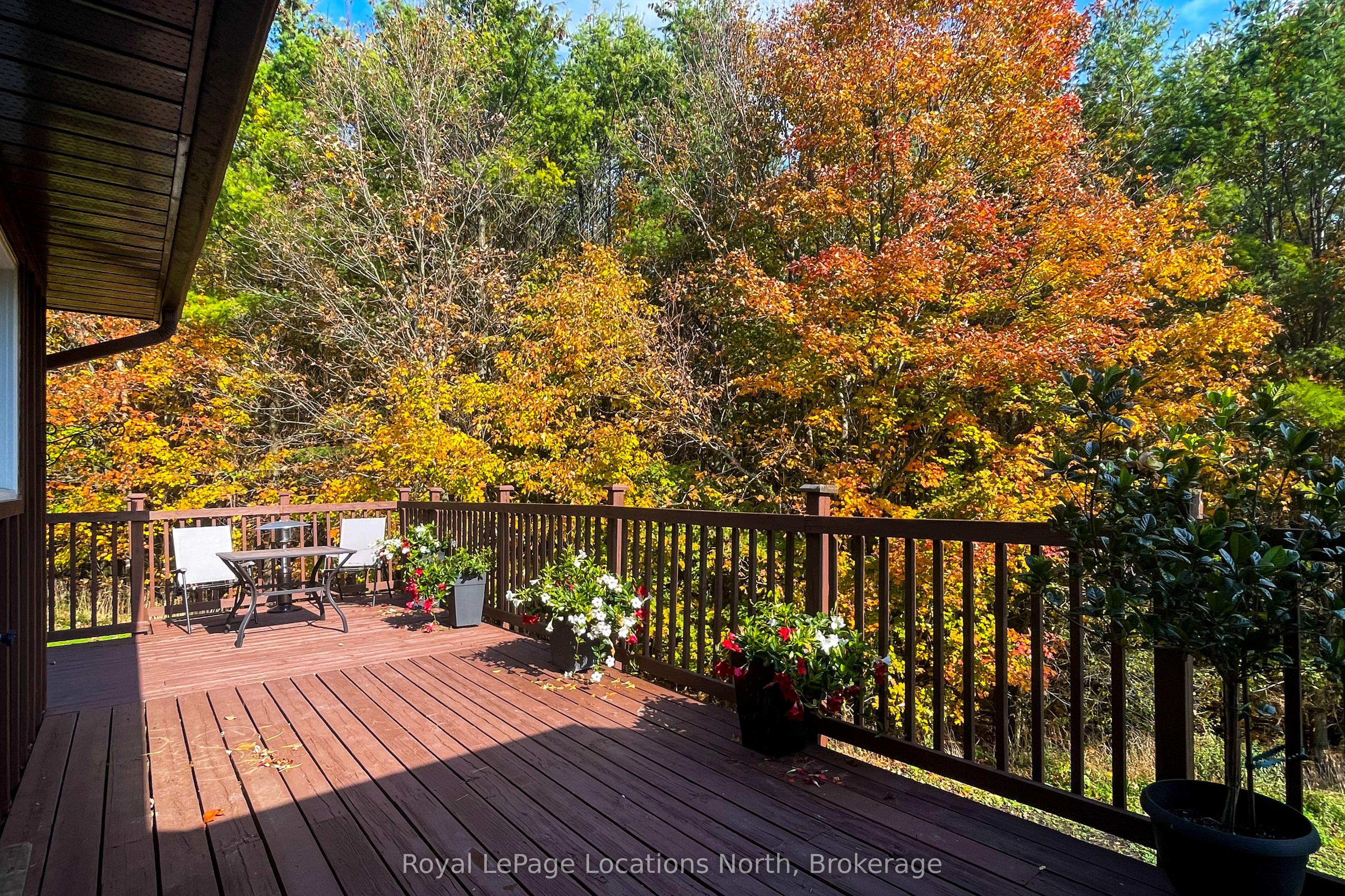 57810 12th Line Property Photo 18