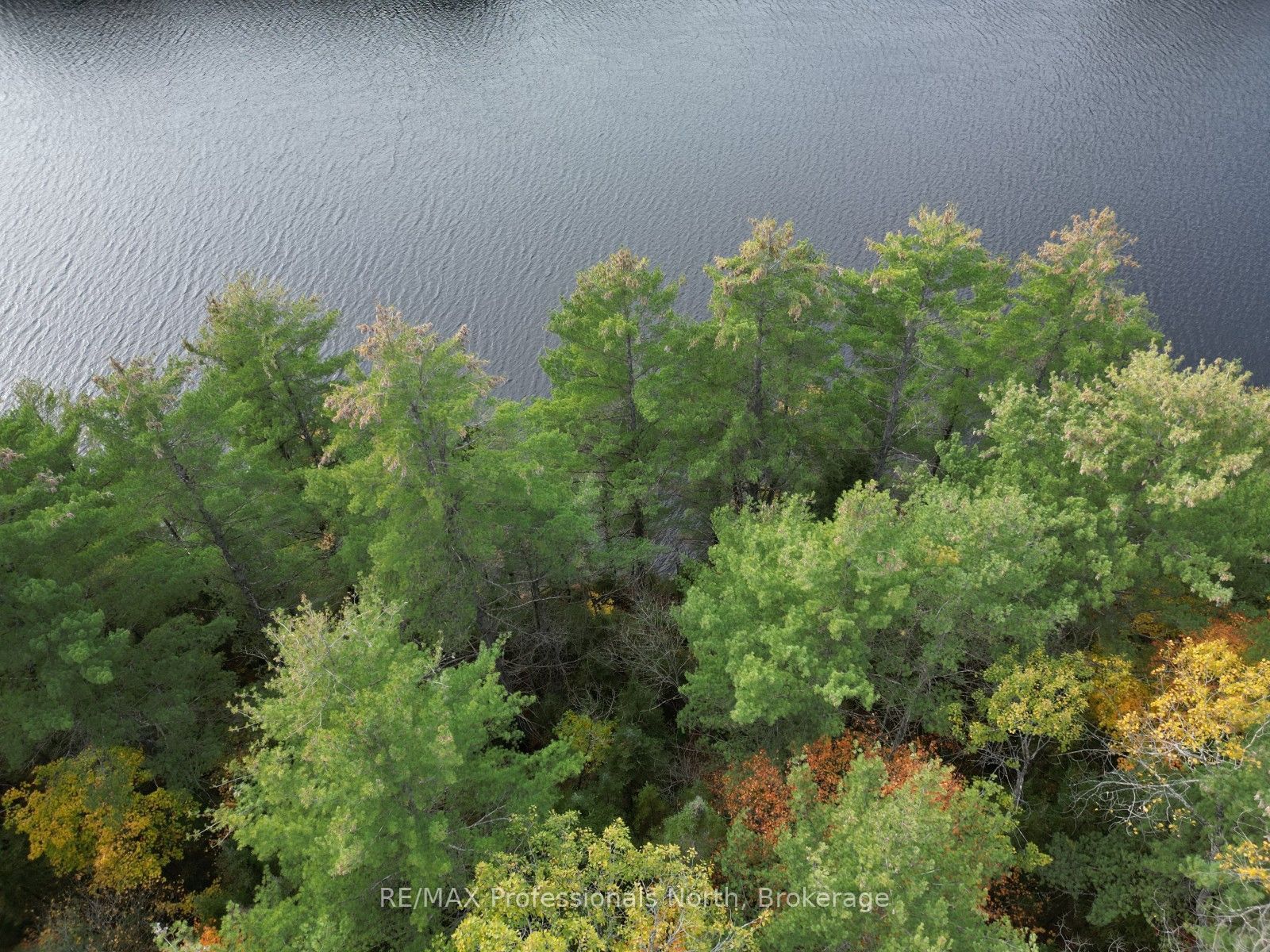 Tbd Rugged Lane Property Photo 3