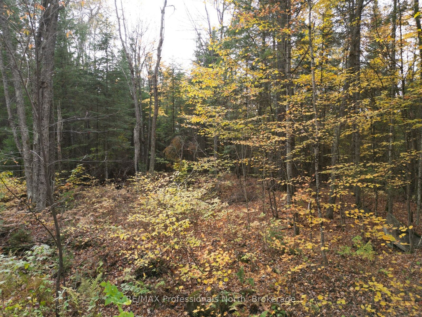 Tbd Rugged Lane Property Photo 5