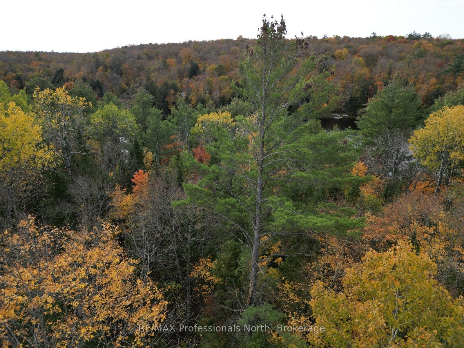 Tbd Rugged Lane Property Photo 7