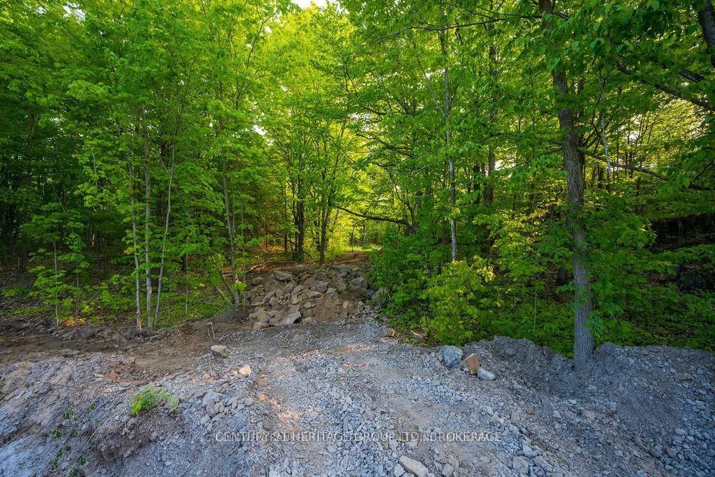 Lot 12 Hinterland Lane Property Photo 3