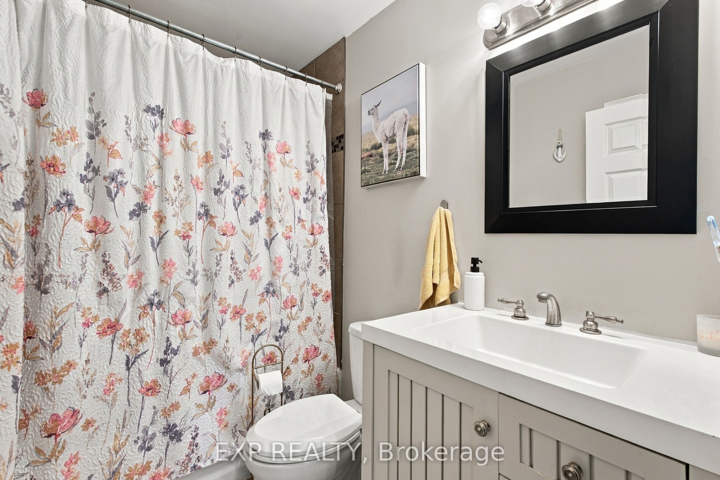 28 Maitland Street Property Photo 22