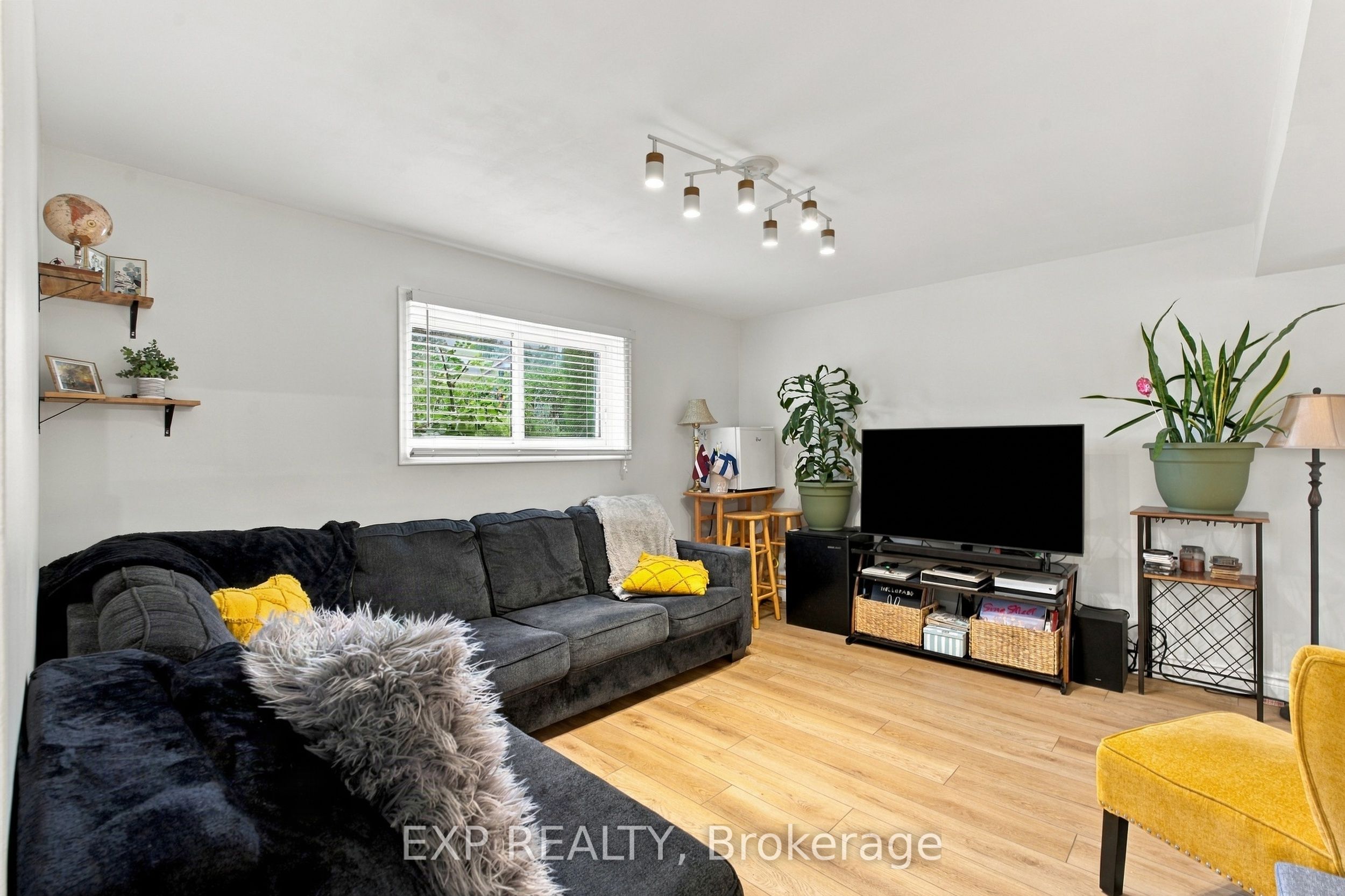 28 Maitland Street Property Photo 23