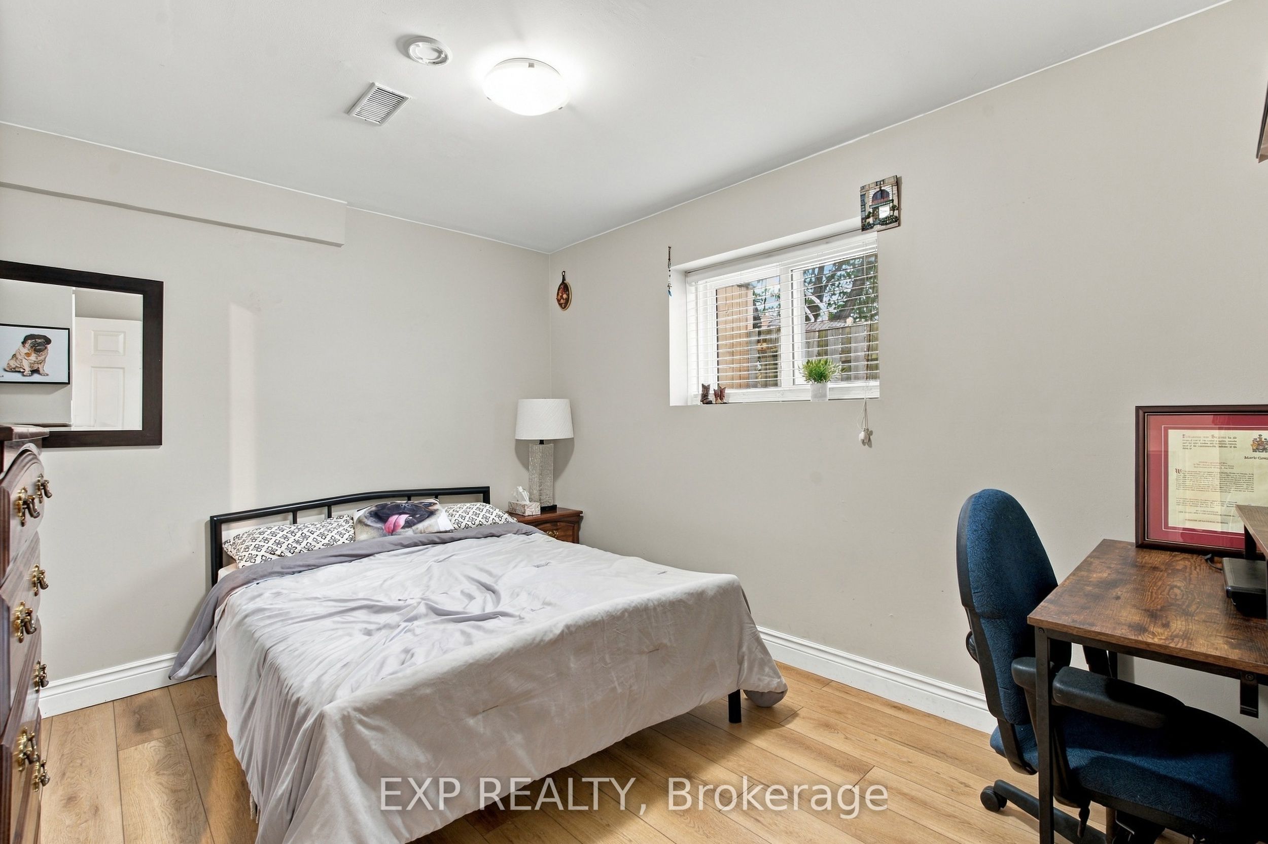 28 Maitland Street Property Photo 31