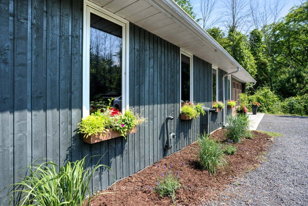 3265 County Road 9 Property Photo 5