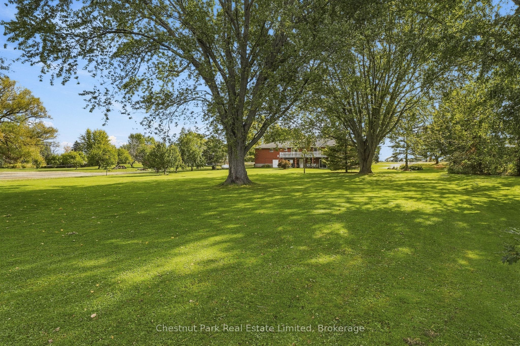 2643 County Rd 13 Property Photo 43
