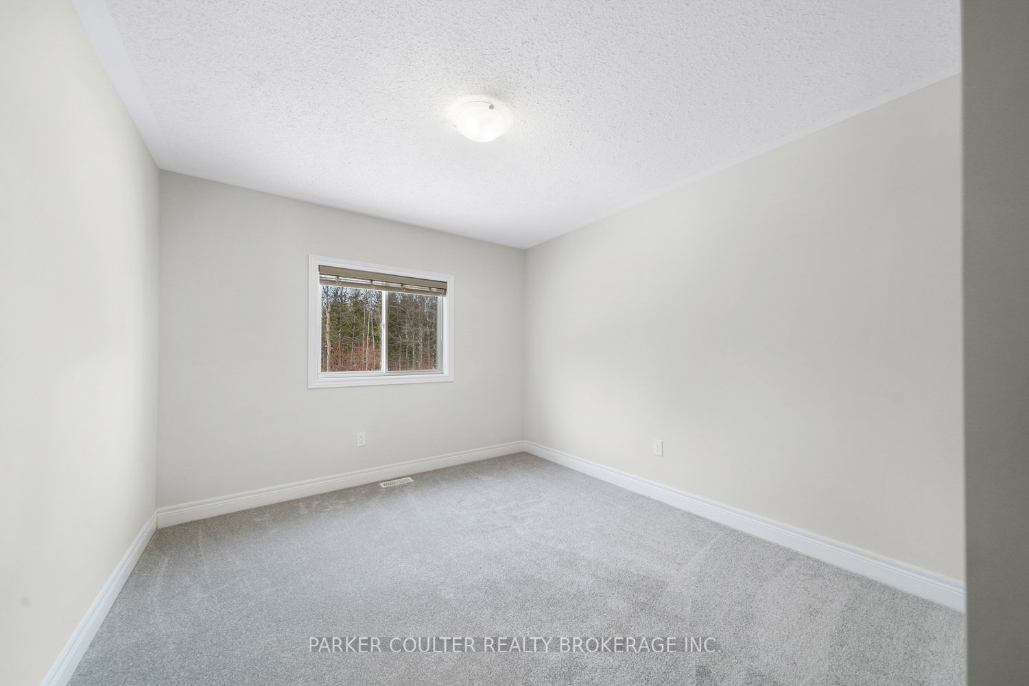 255 Wild Rose Drive Property Photo 15