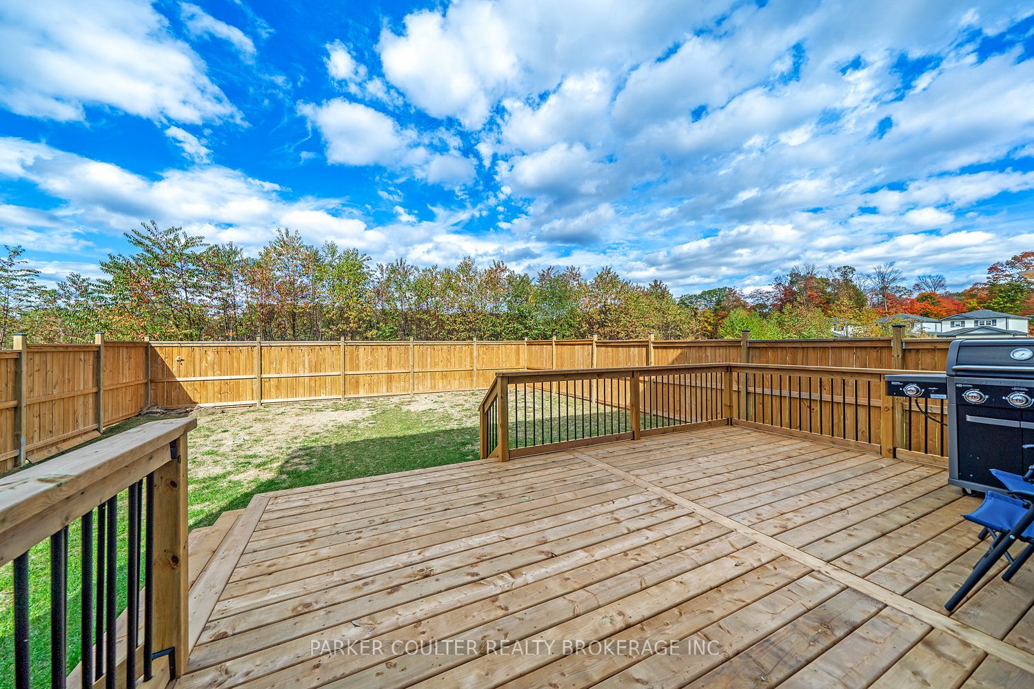 255 Wild Rose Drive Property Photo 31