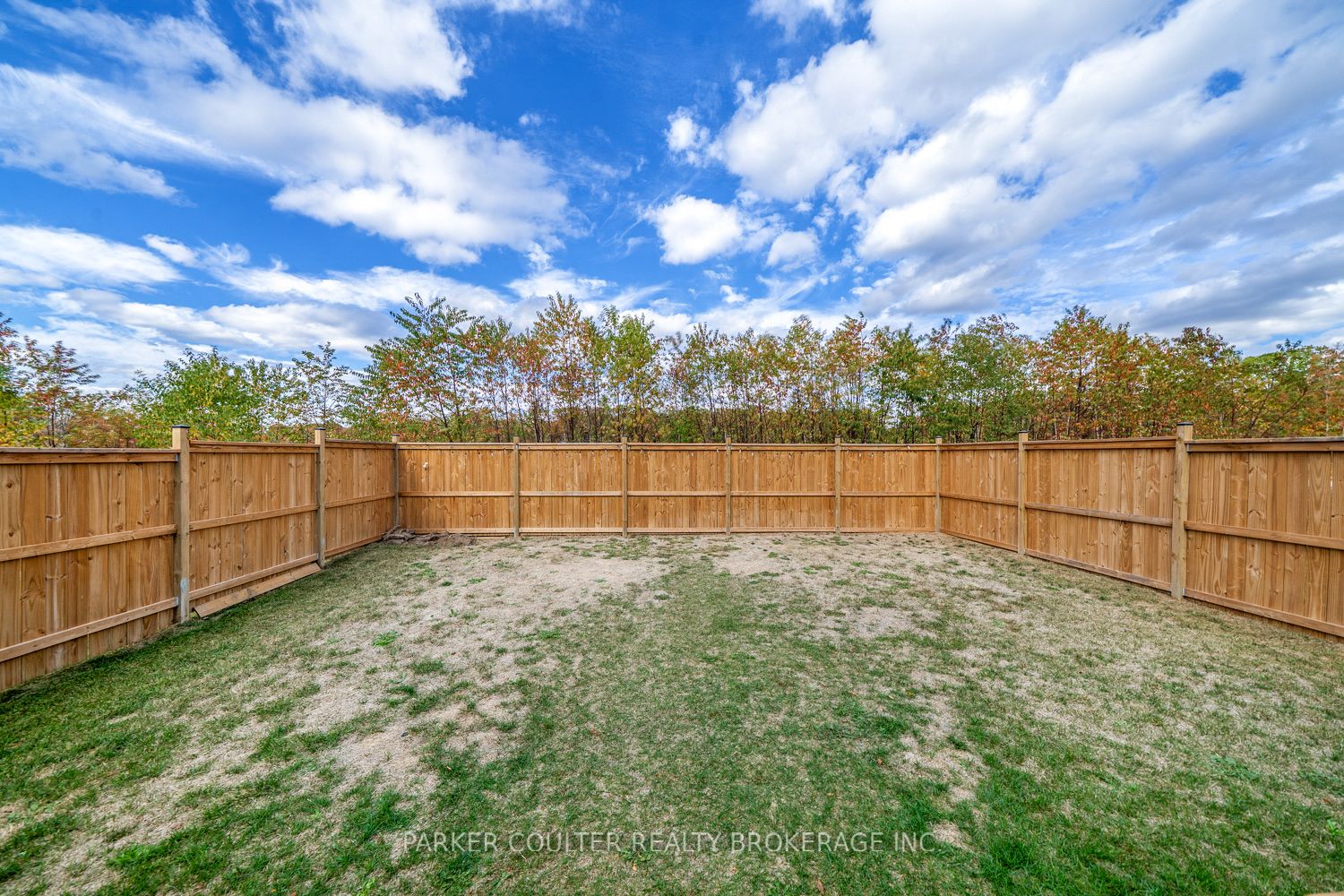 255 Wild Rose Drive Property Photo 33