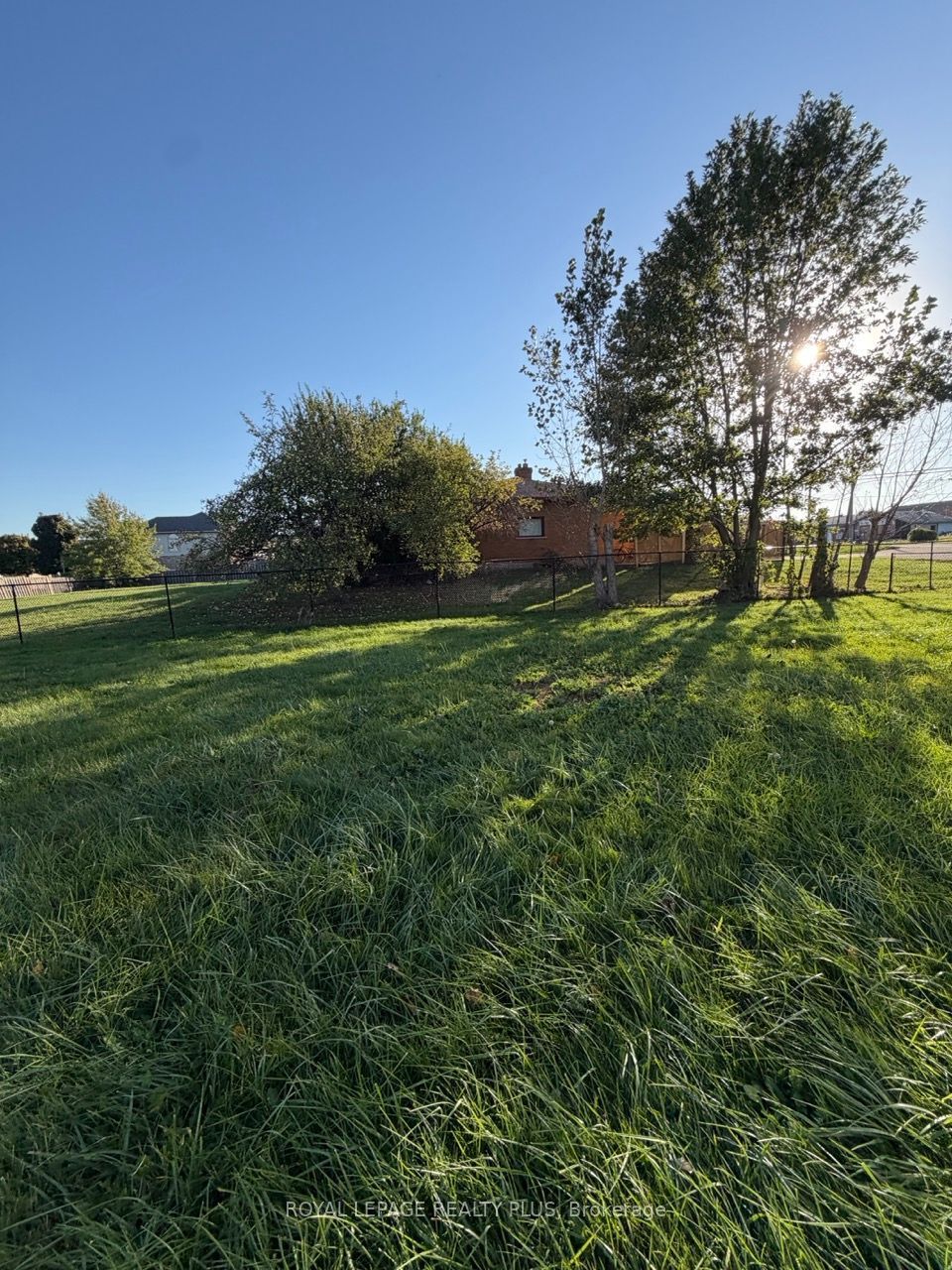 3167 Highway 56 Property Photo 24