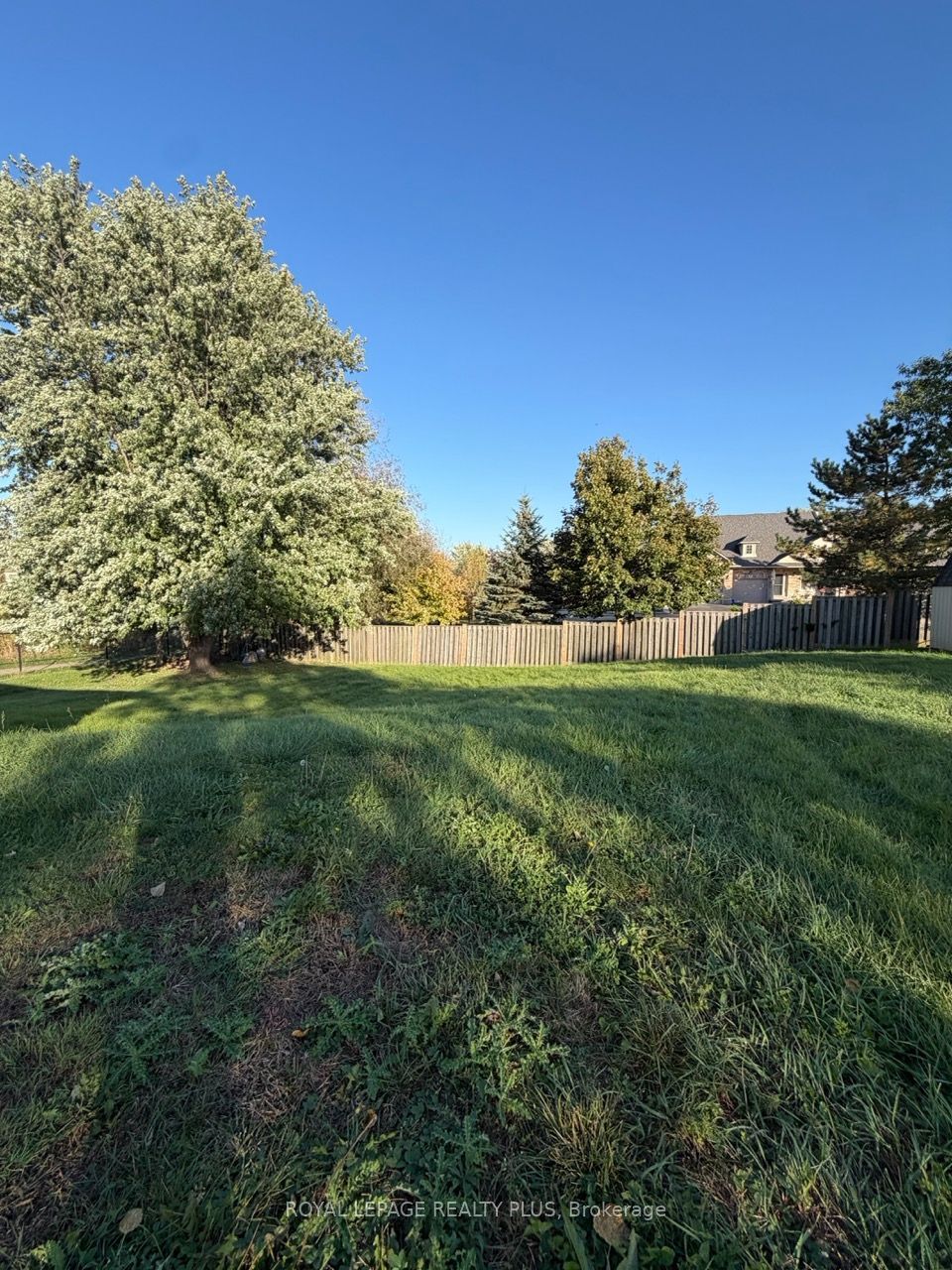 3167 Highway 56 Property Photo 26