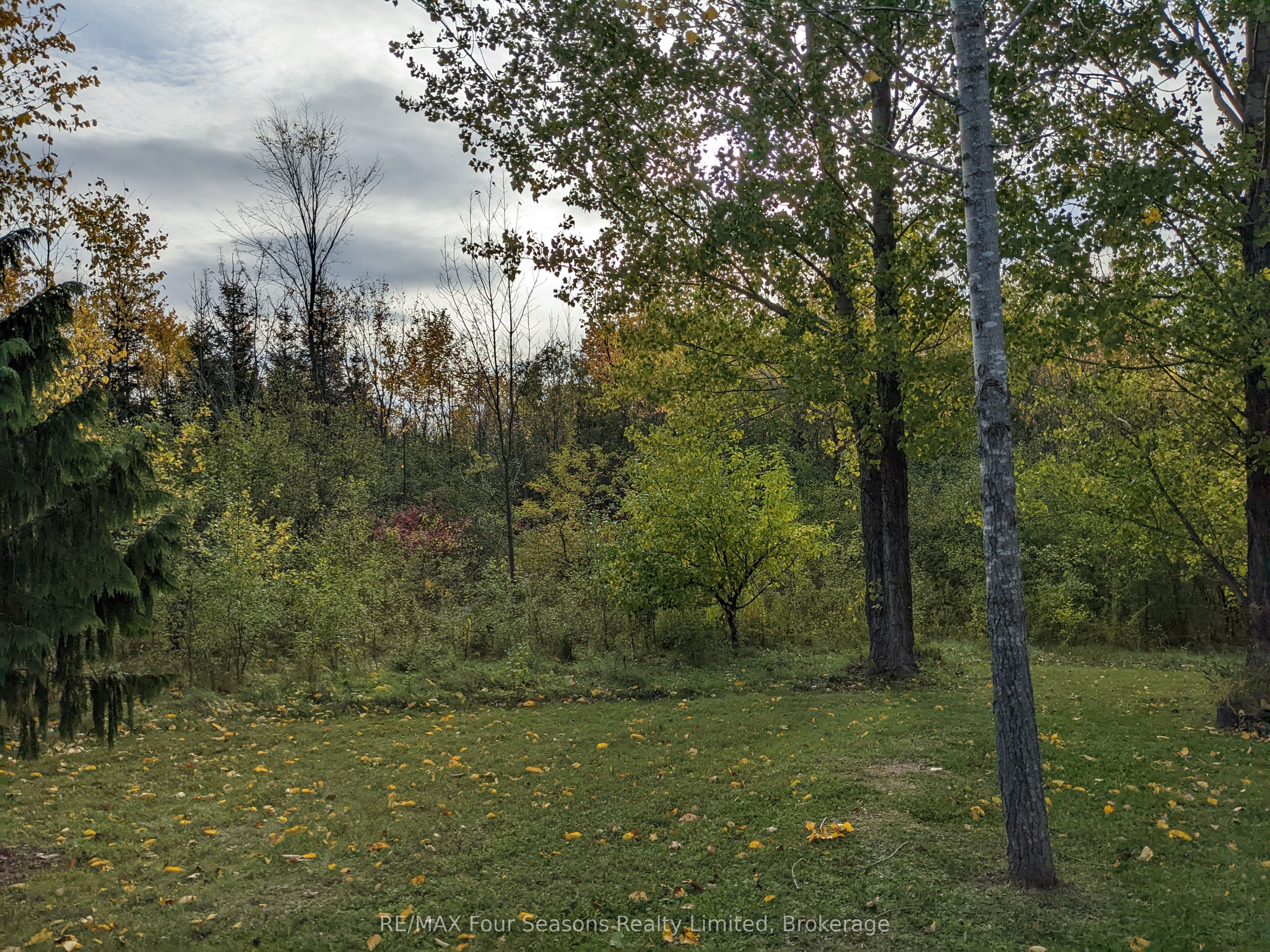 103 Robertson Avenue Property Photo 24