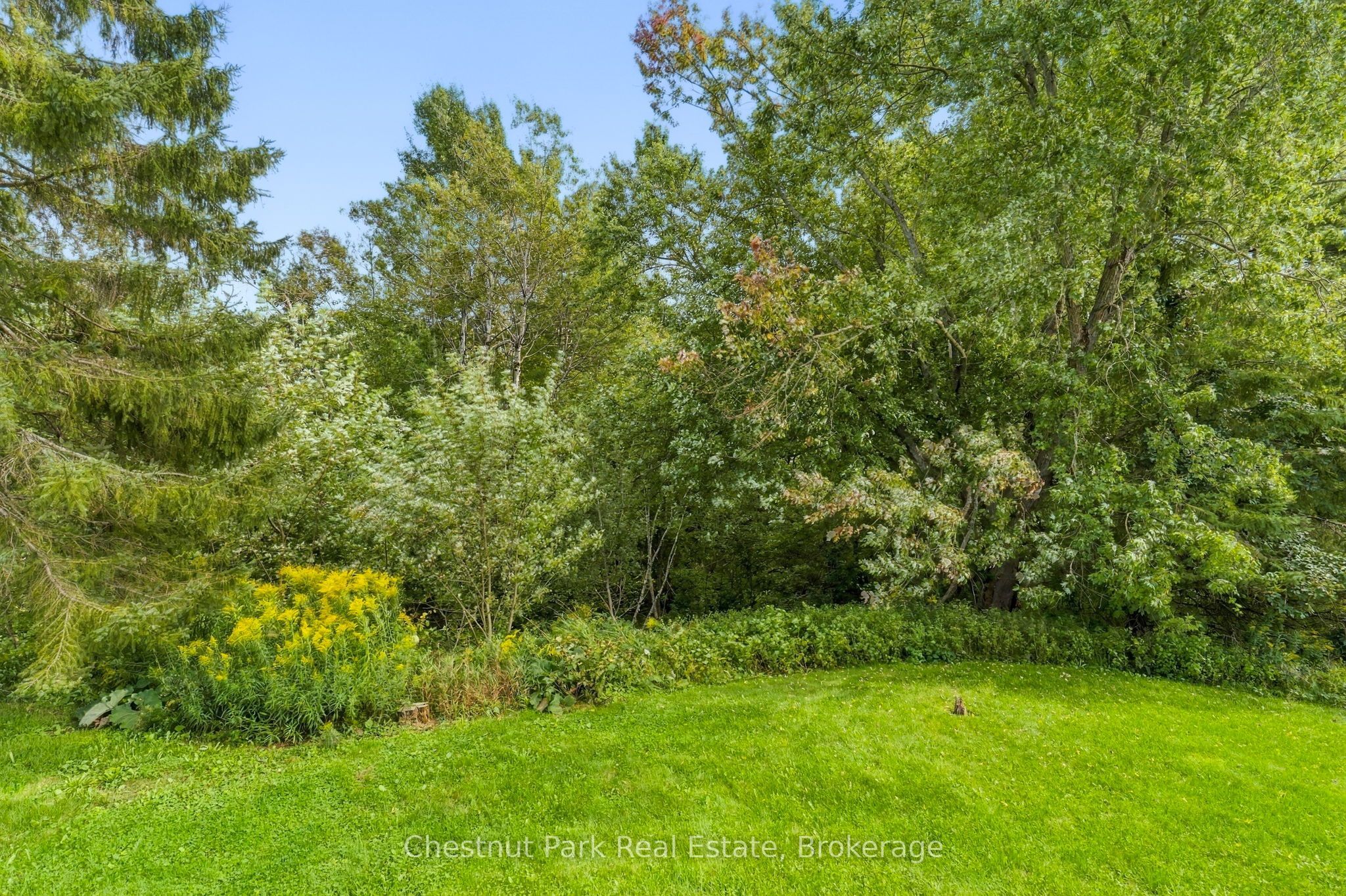 30 Catharine Crescent Property Photo 13