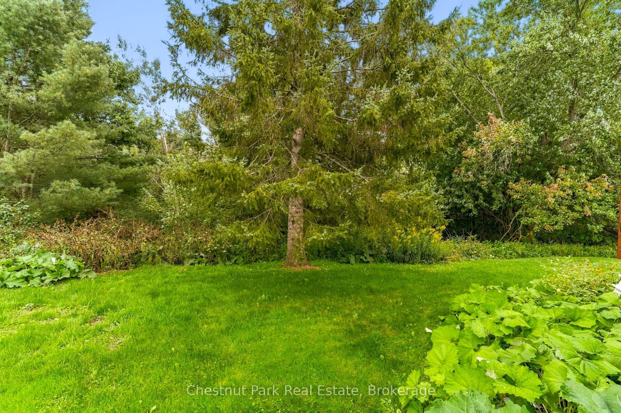 30 Catharine Crescent Property Photo 37