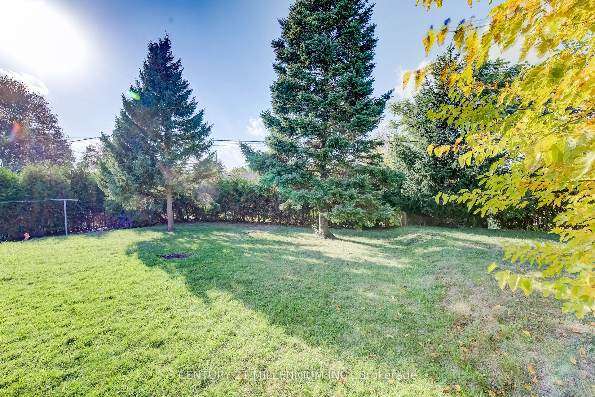 46 Traynor Avenue Property Photo 38