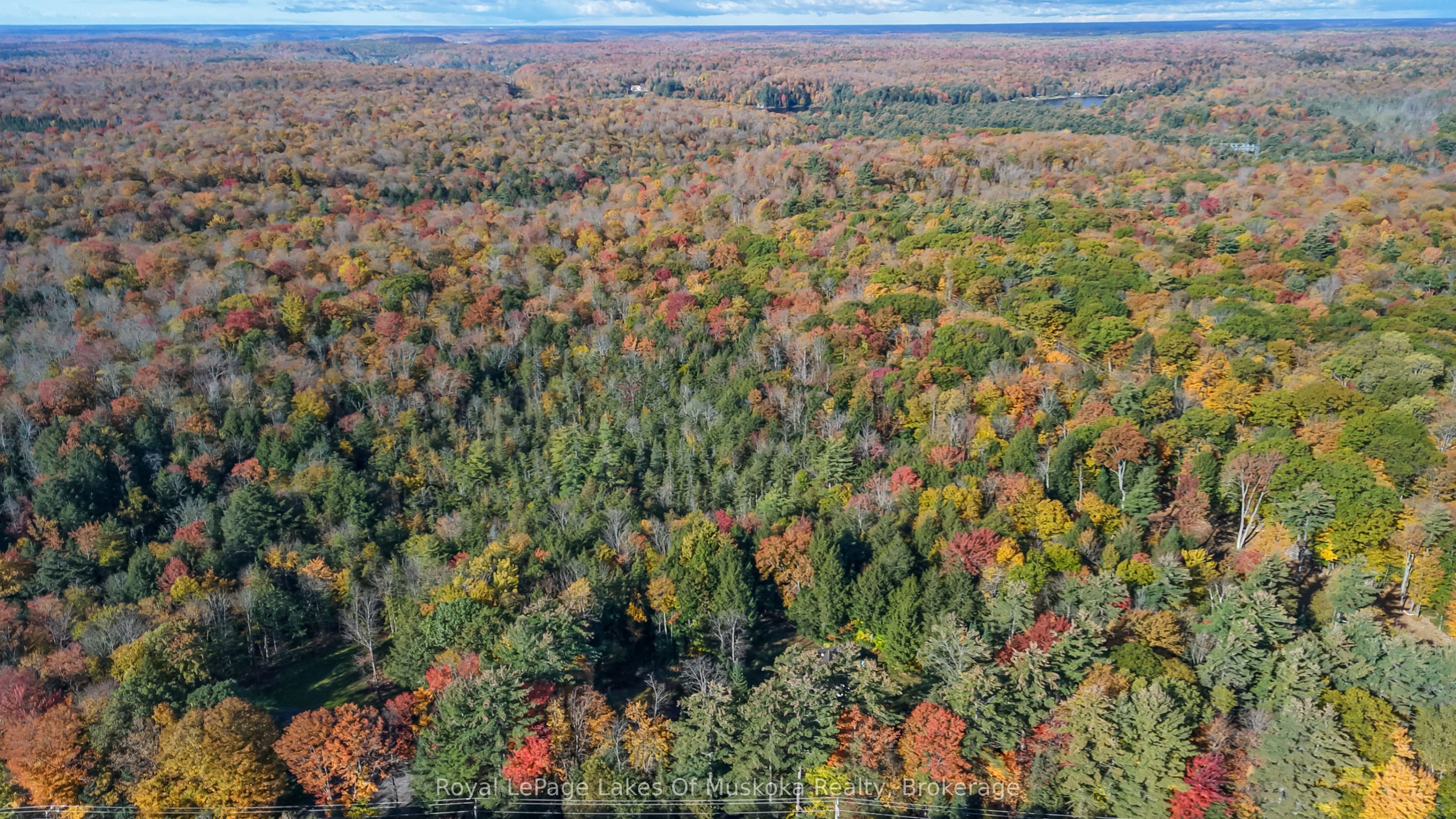 2726 Old Muskoka Road Property Photo 33