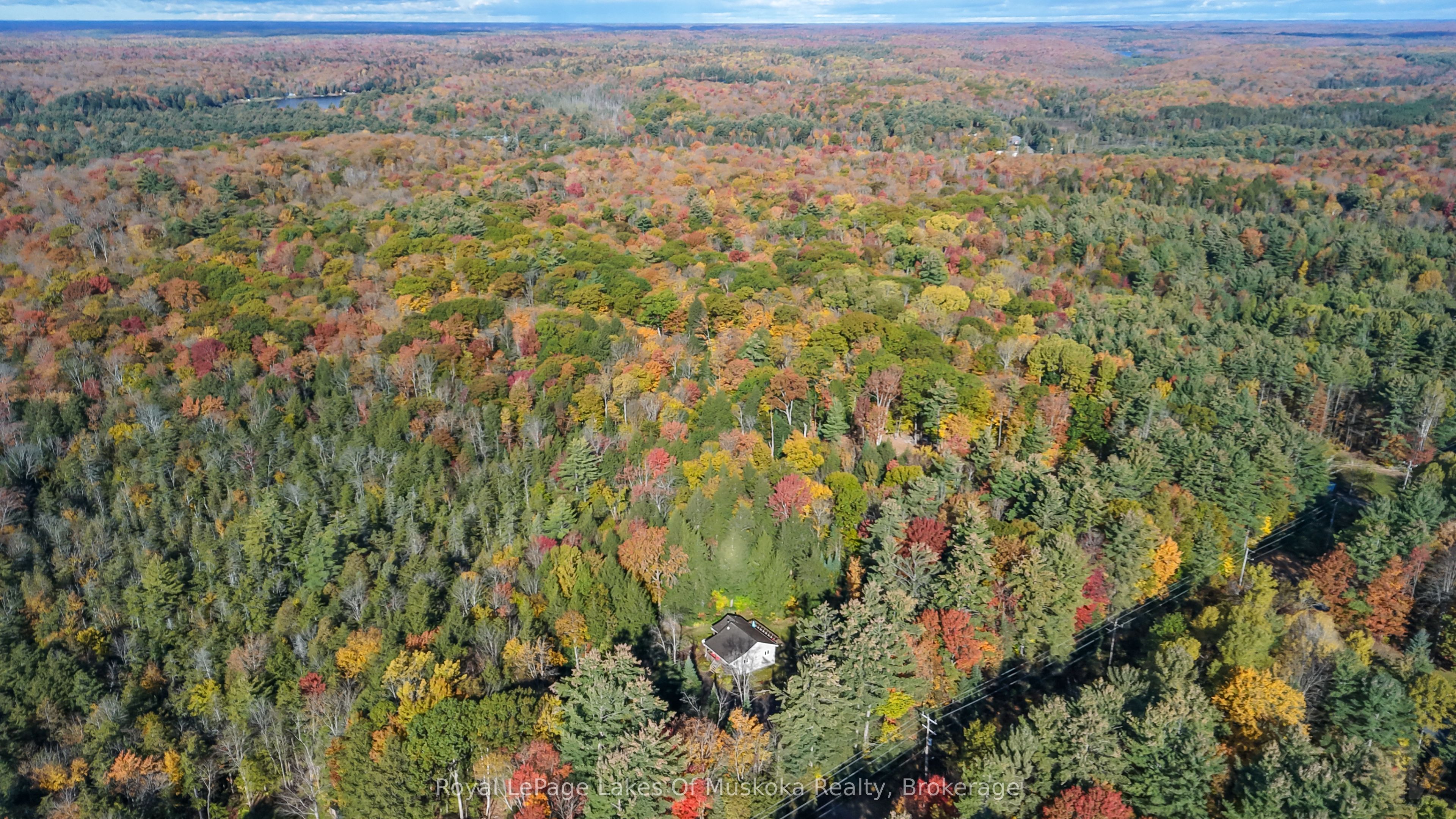 2726 Old Muskoka Road Property Photo 34