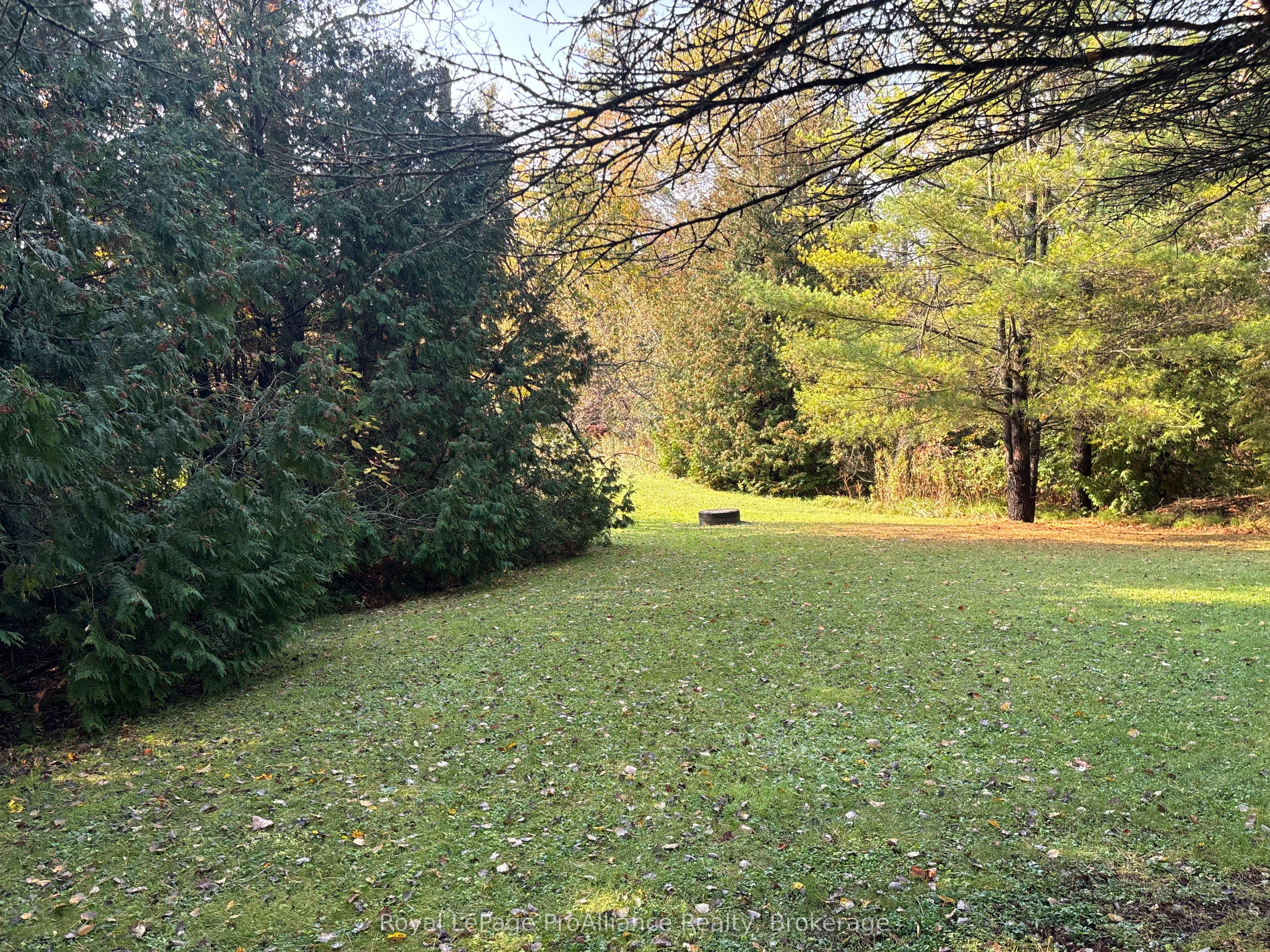 230 County Road 22 Property Photo 19