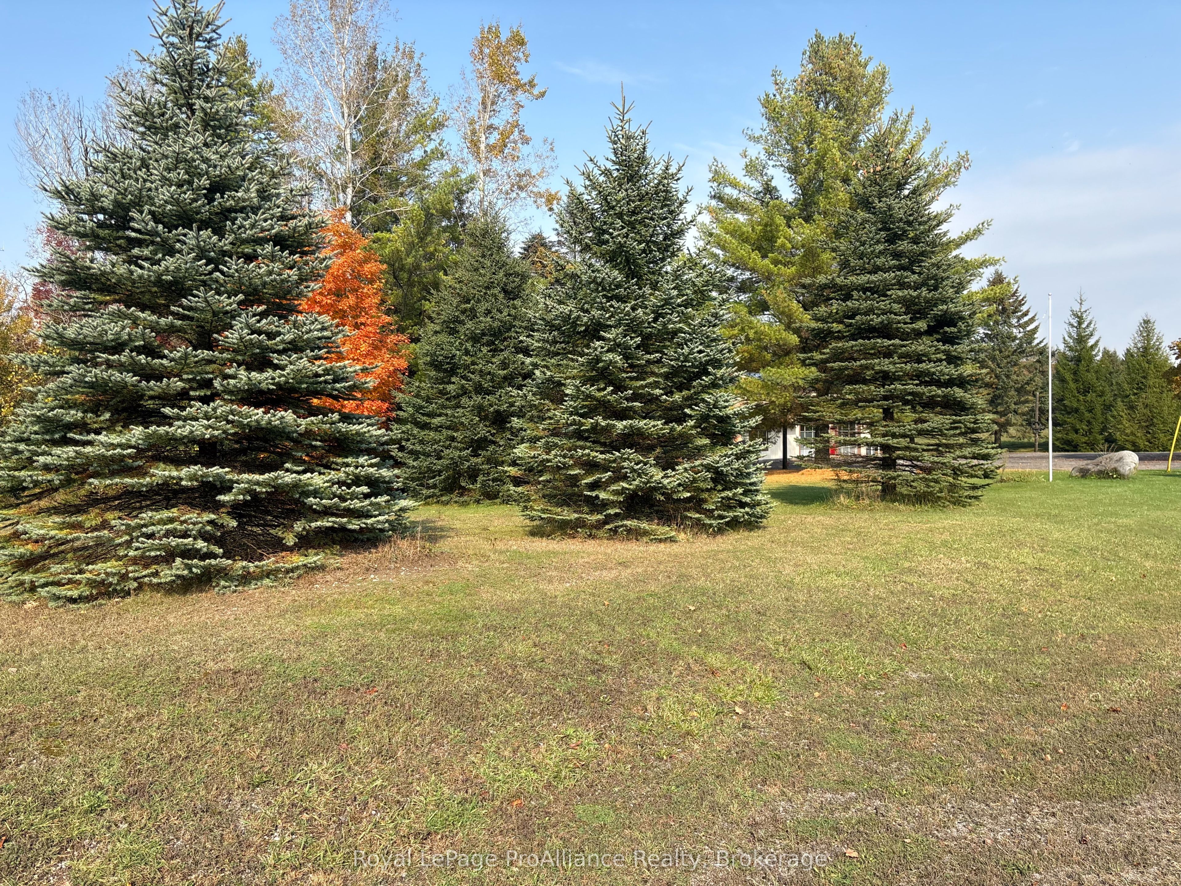230 County Road 22 Property Photo 20