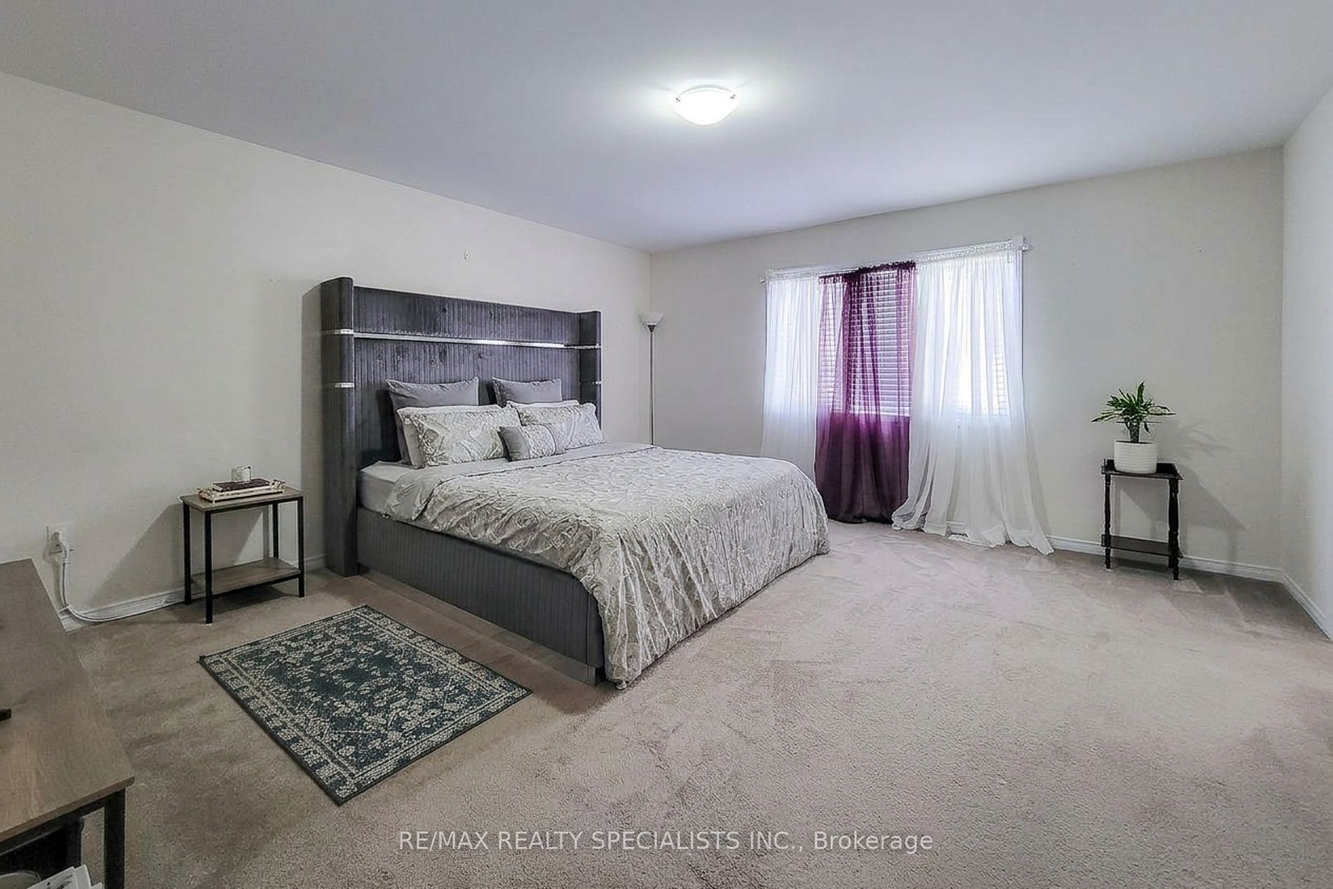 14 Beatty Avenue Property Photo 21