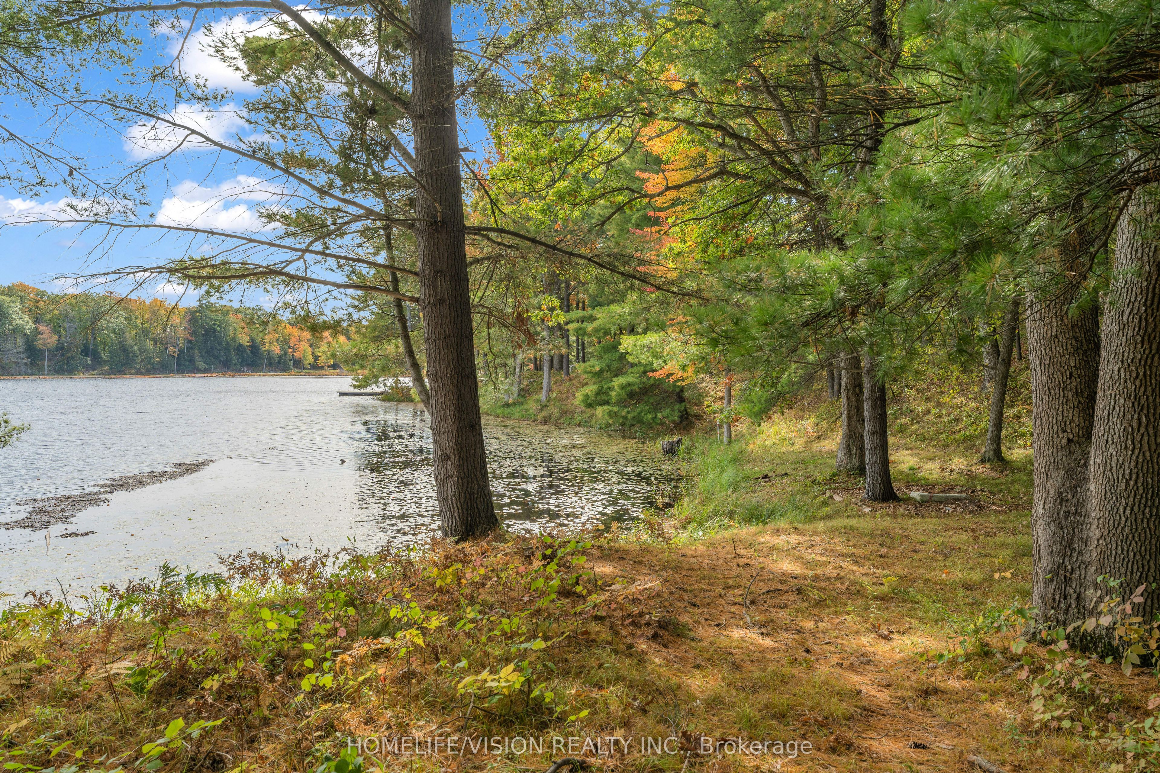 2862 Holleford Road Property Photo 43